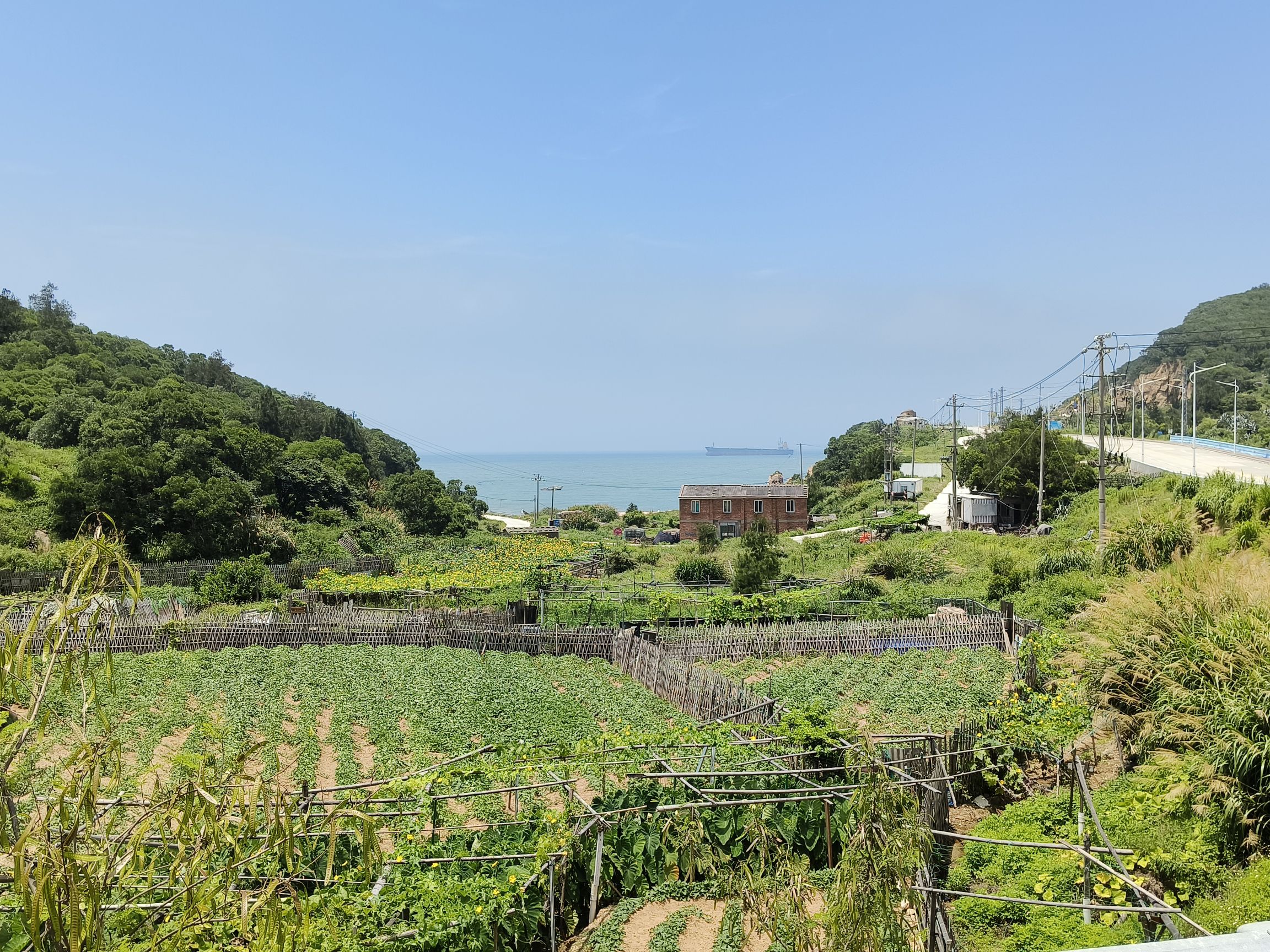畚箕山战备遗址游览区旅行图片 1