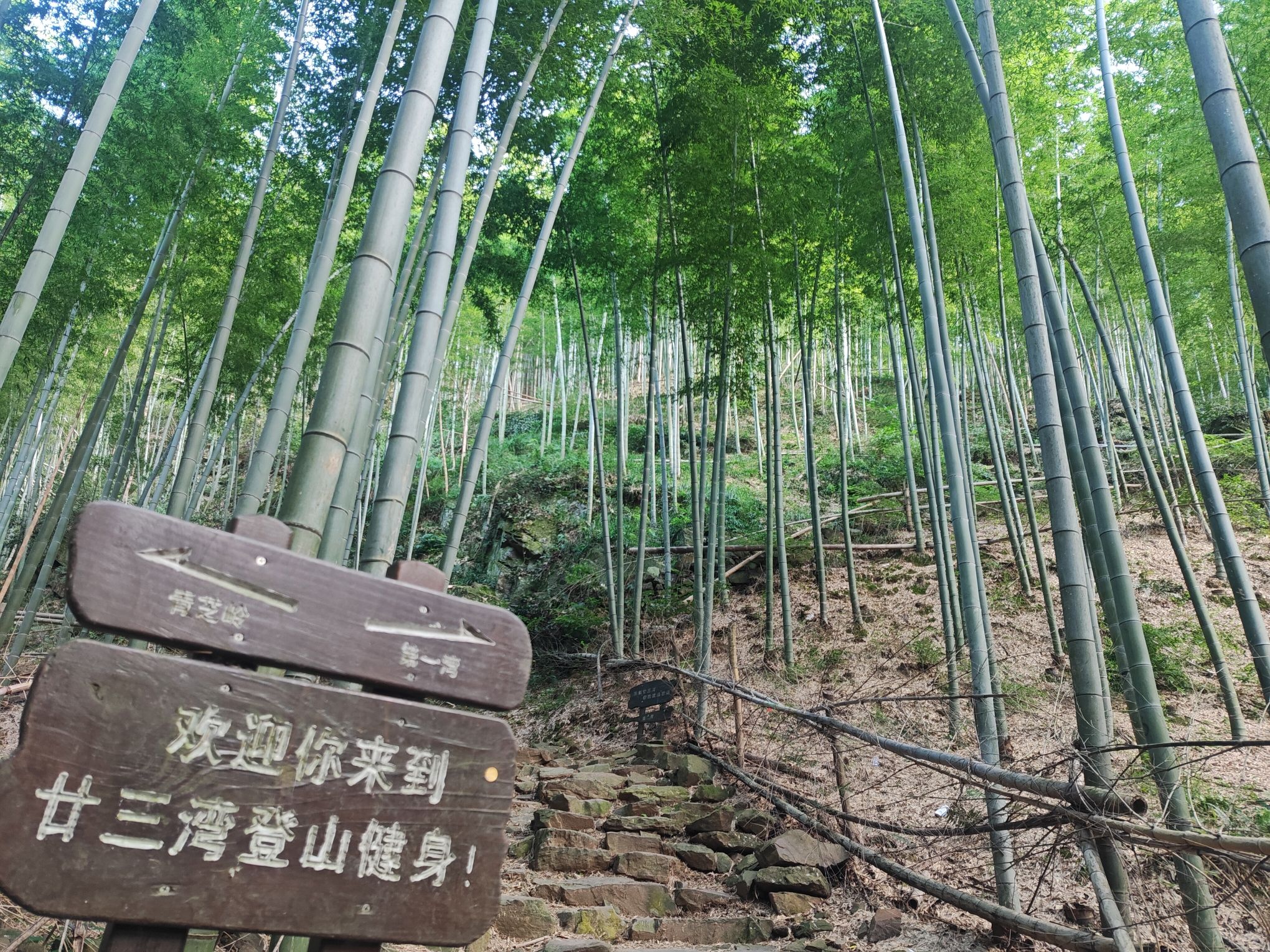宜兴湖父廿三湾旅行图片 1