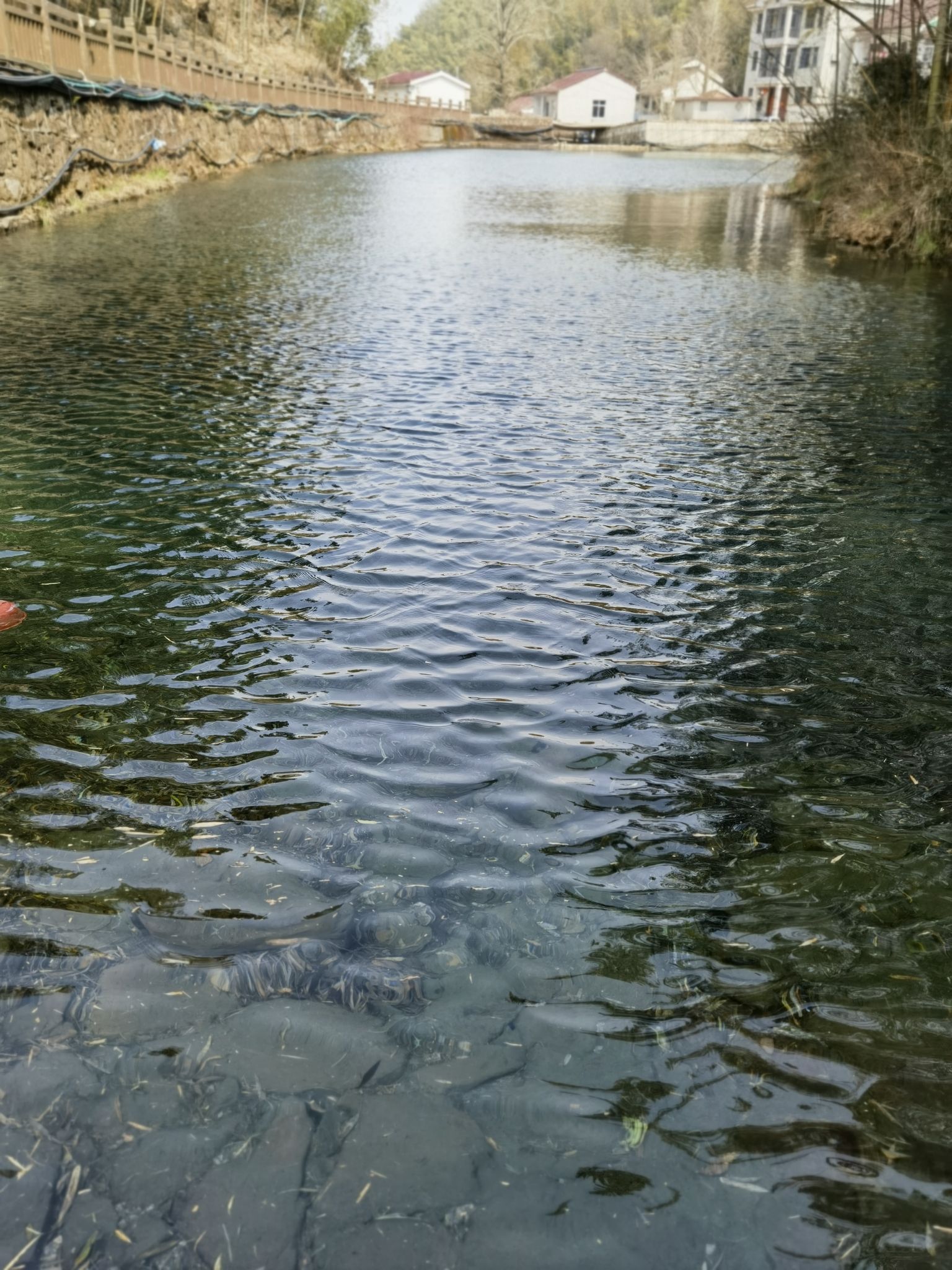 宜兴湖父廿三湾旅行图片 2