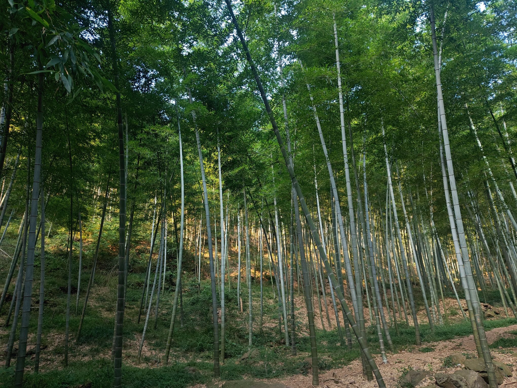 宜兴湖父廿三湾旅行图片 3