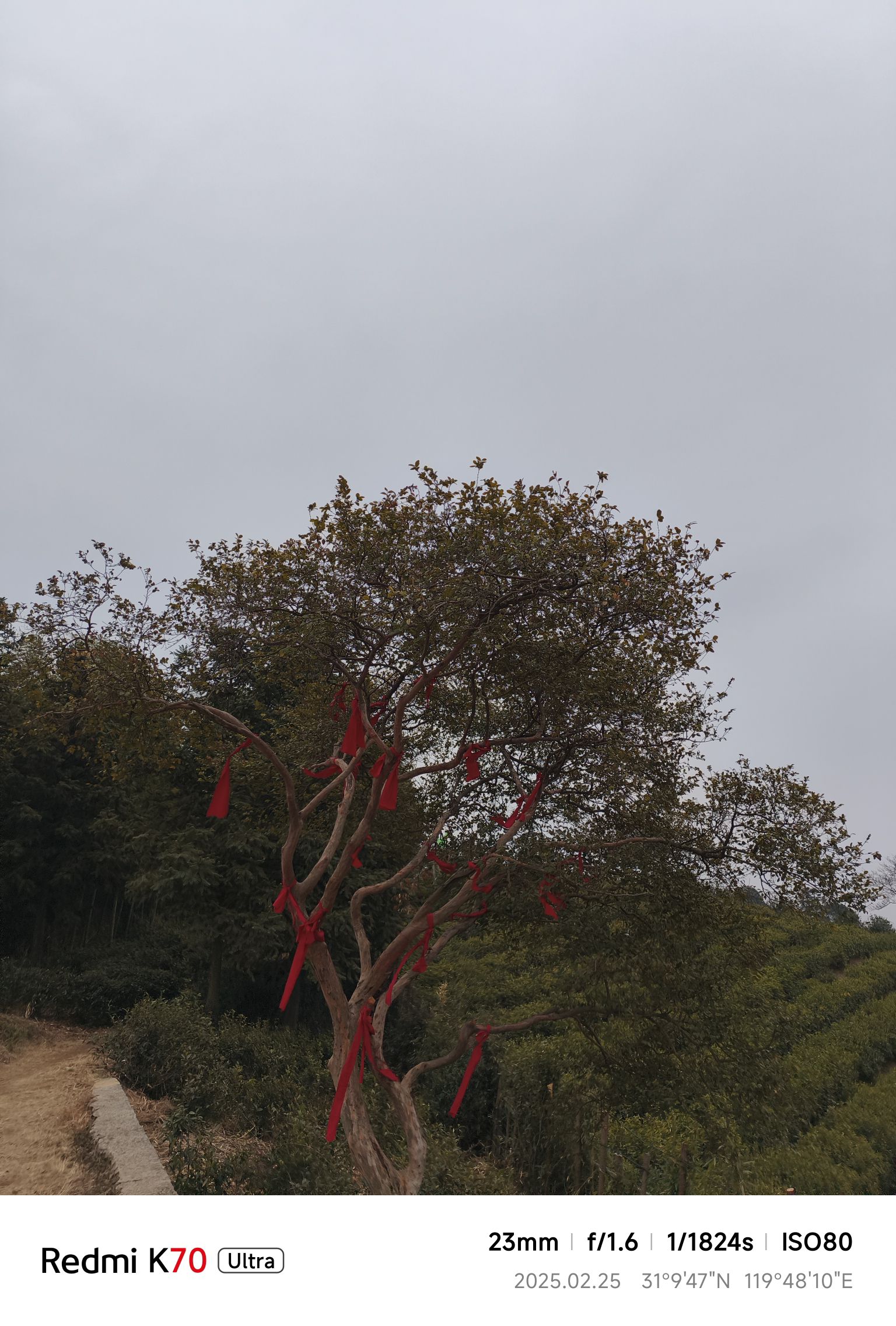 宜兴湖父廿三湾旅行图片 2