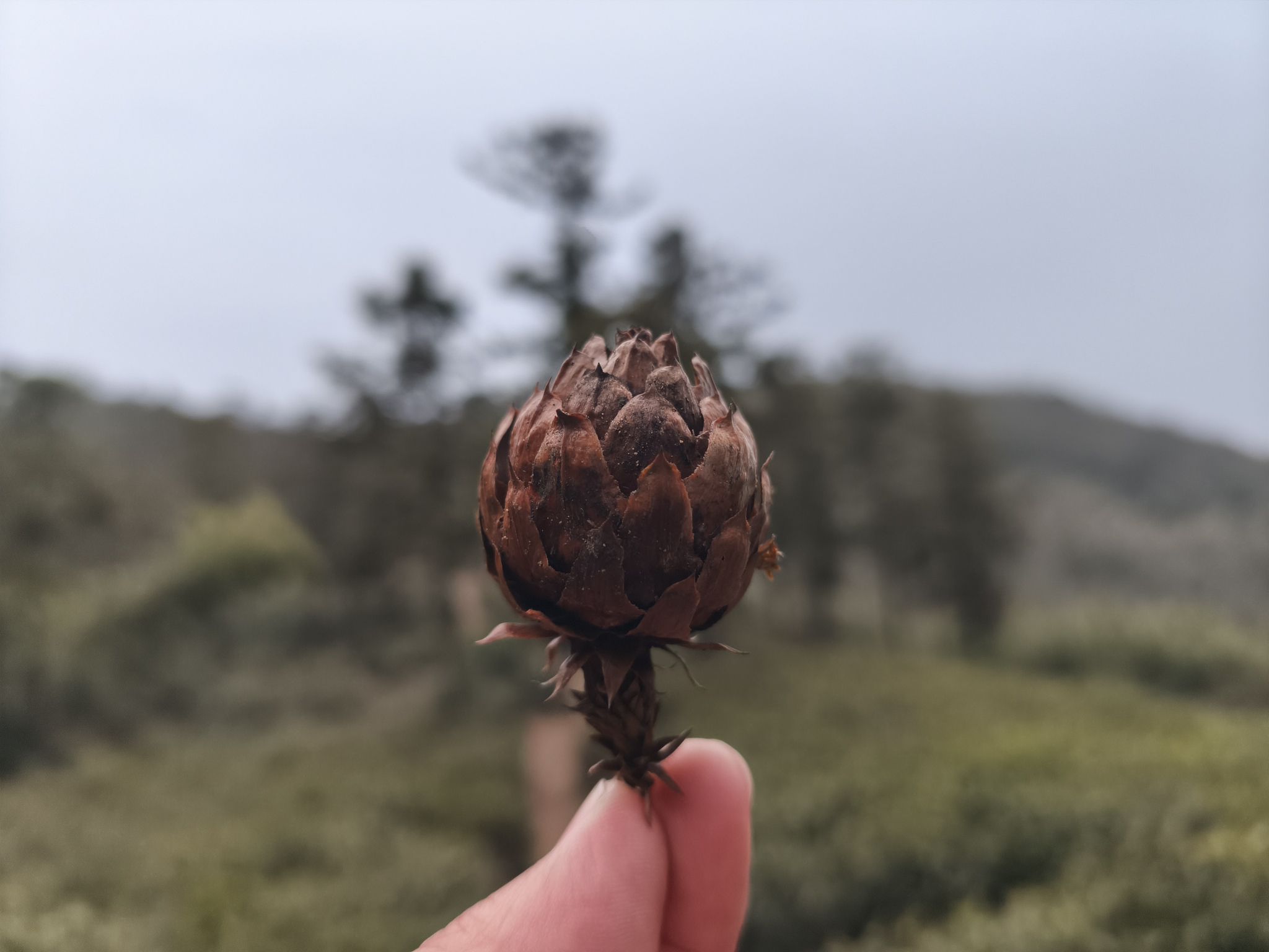 宜兴湖父廿三湾旅行图片 3