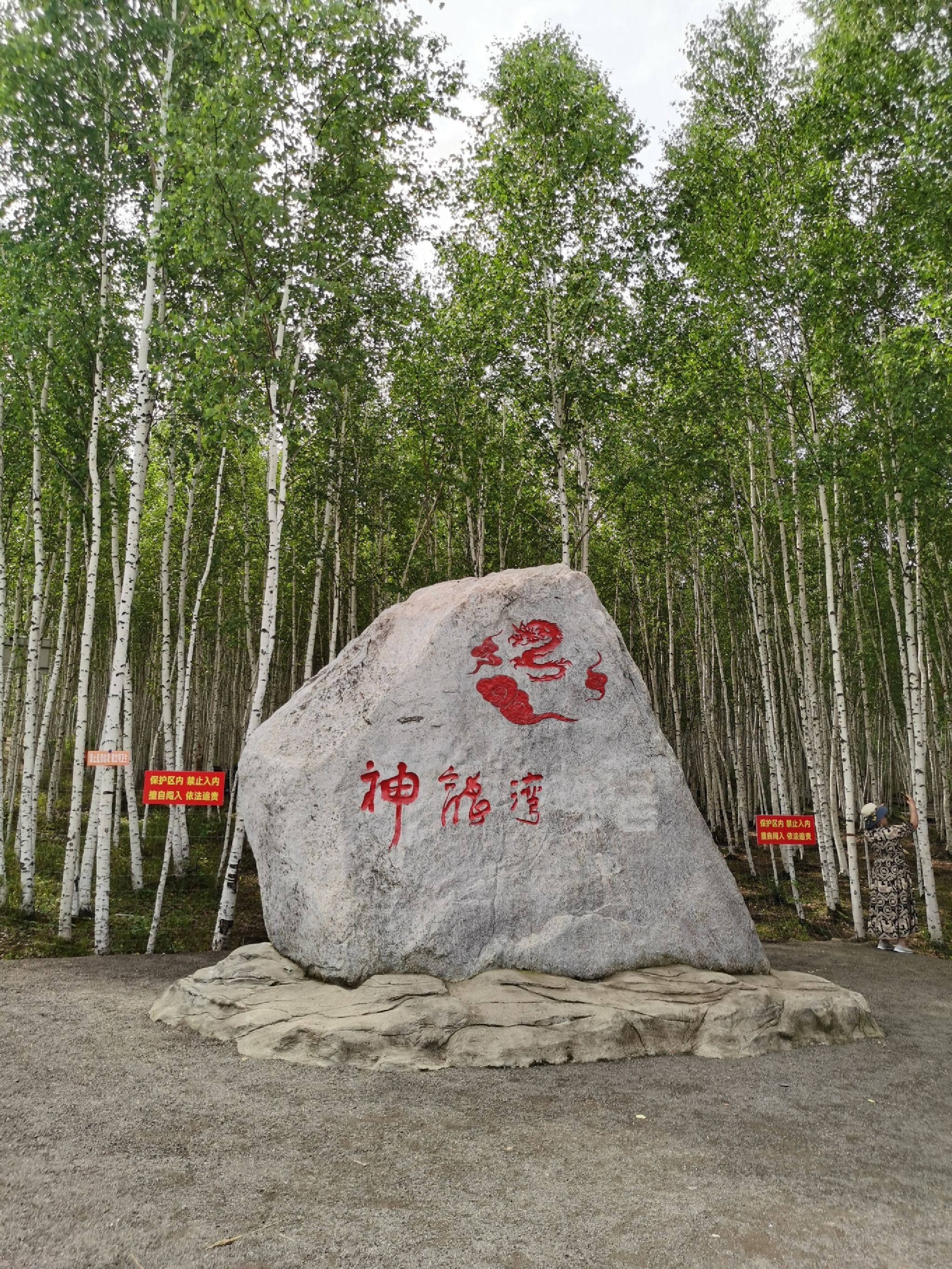 神龙湾景区旅行图片 1