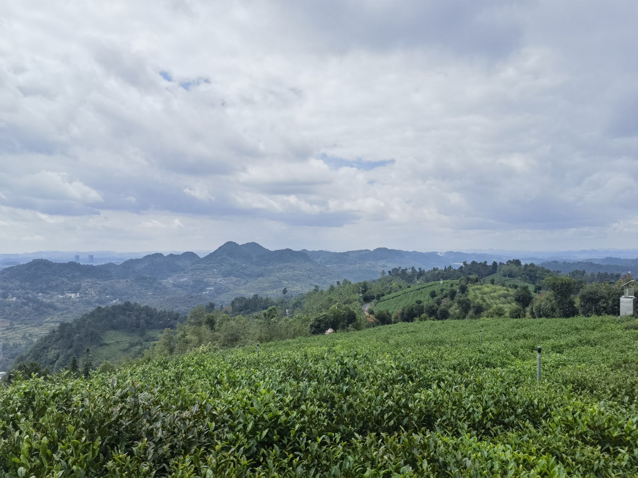 九龙亭(九龙茶峰)旅行图片 1