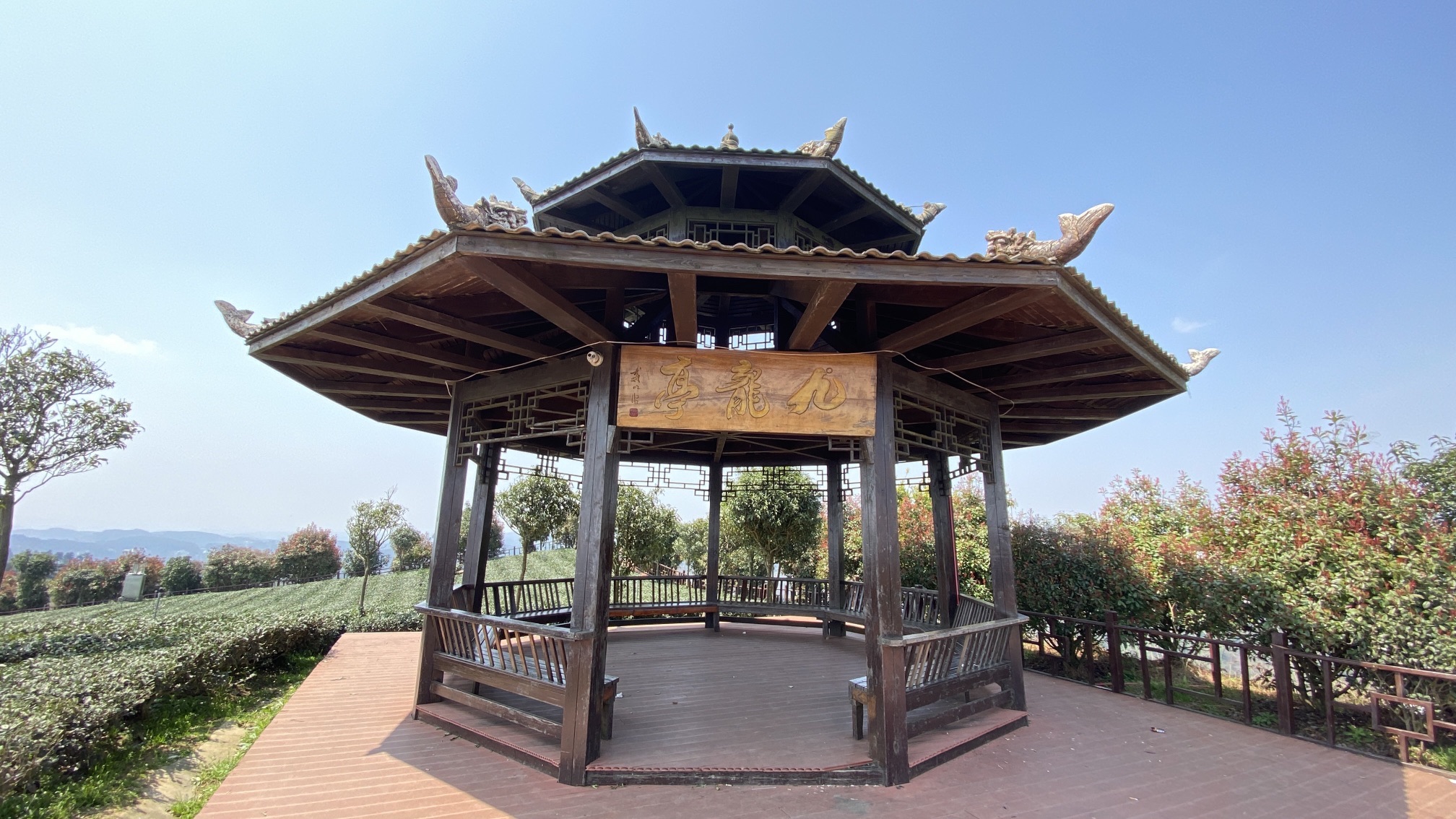 九龙亭(九龙茶峰)旅行图片 2