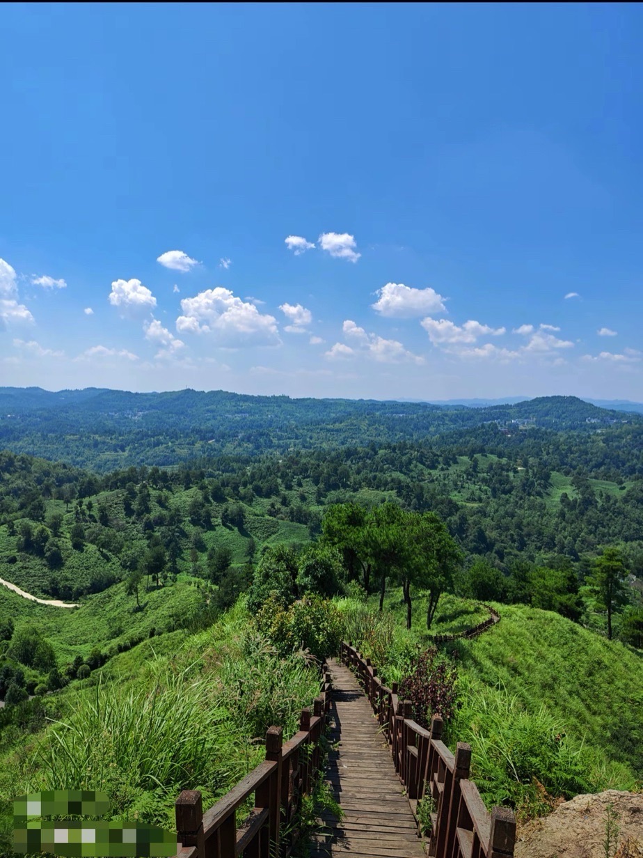 九龙亭(九龙茶峰)旅行图片 3