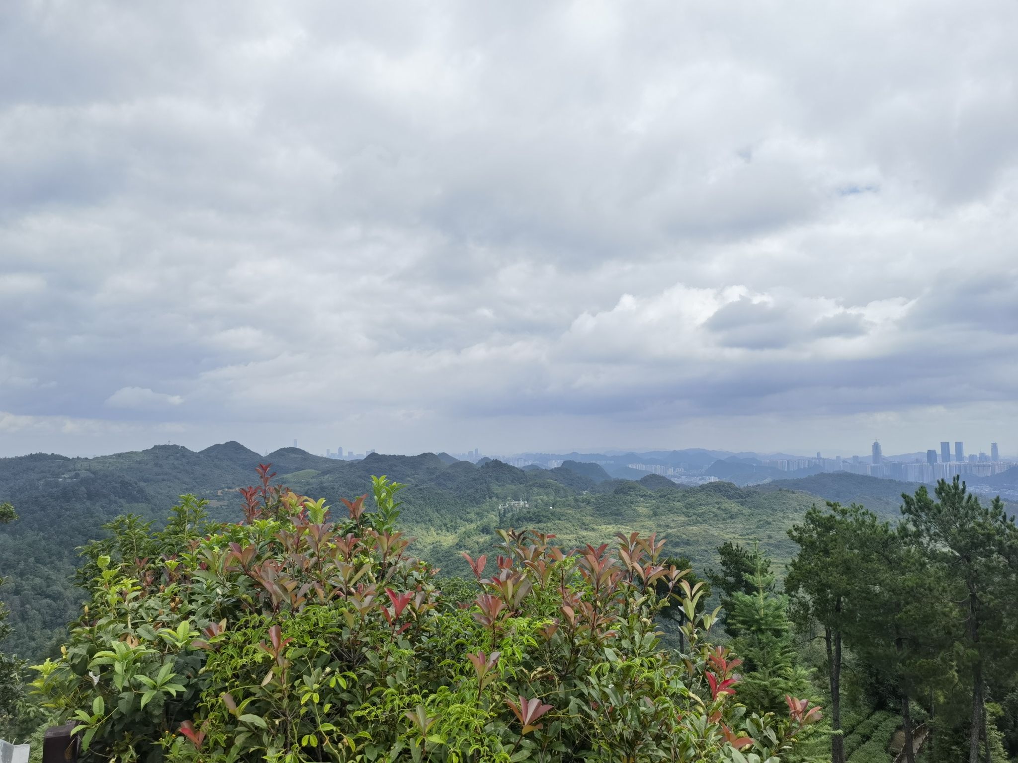 九龙亭(九龙茶峰)旅行图片 2