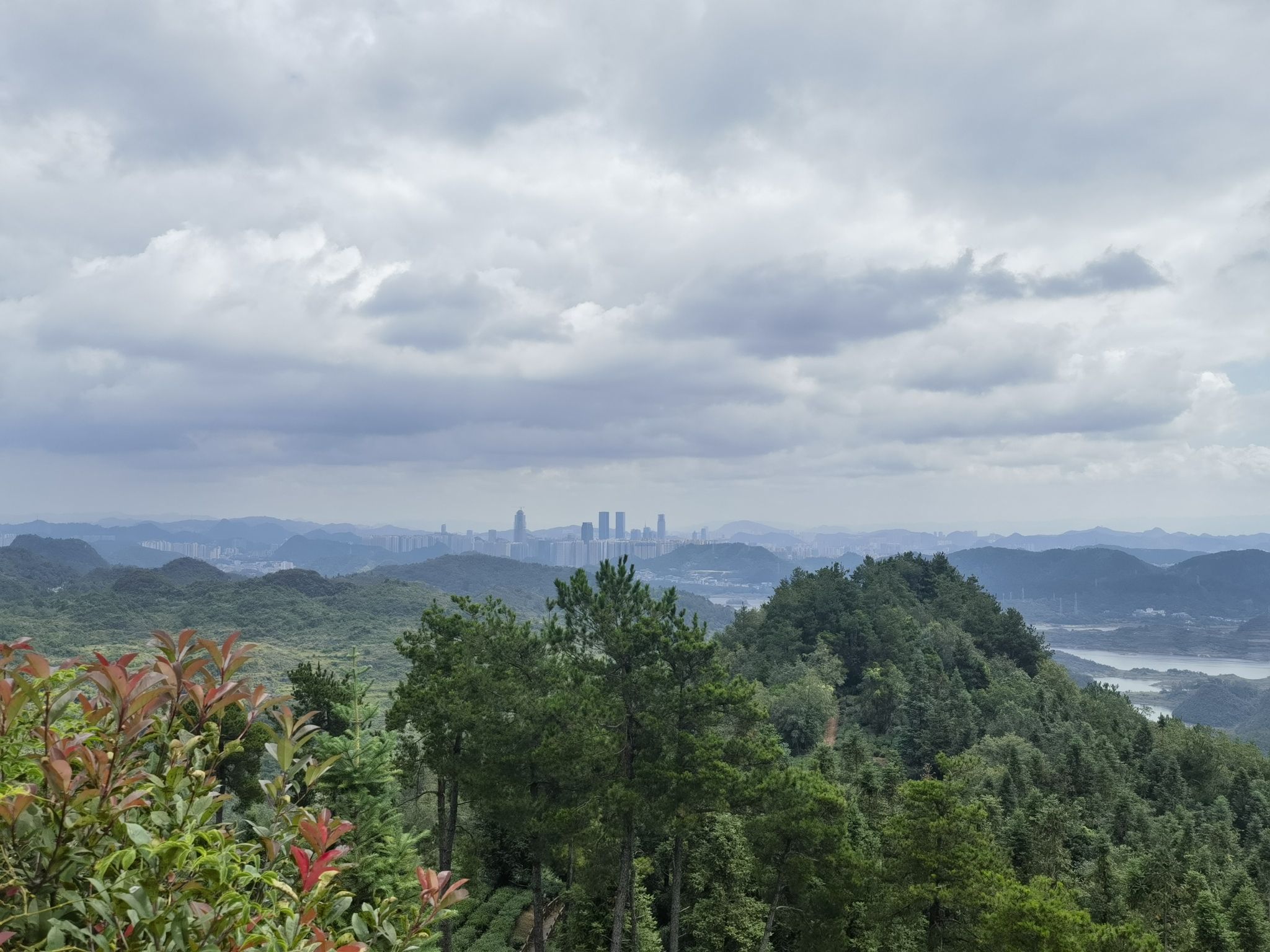 九龙亭(九龙茶峰)旅行图片 3