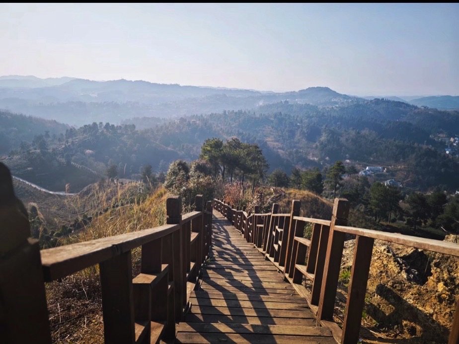九龙亭(九龙茶峰)旅行图片 1