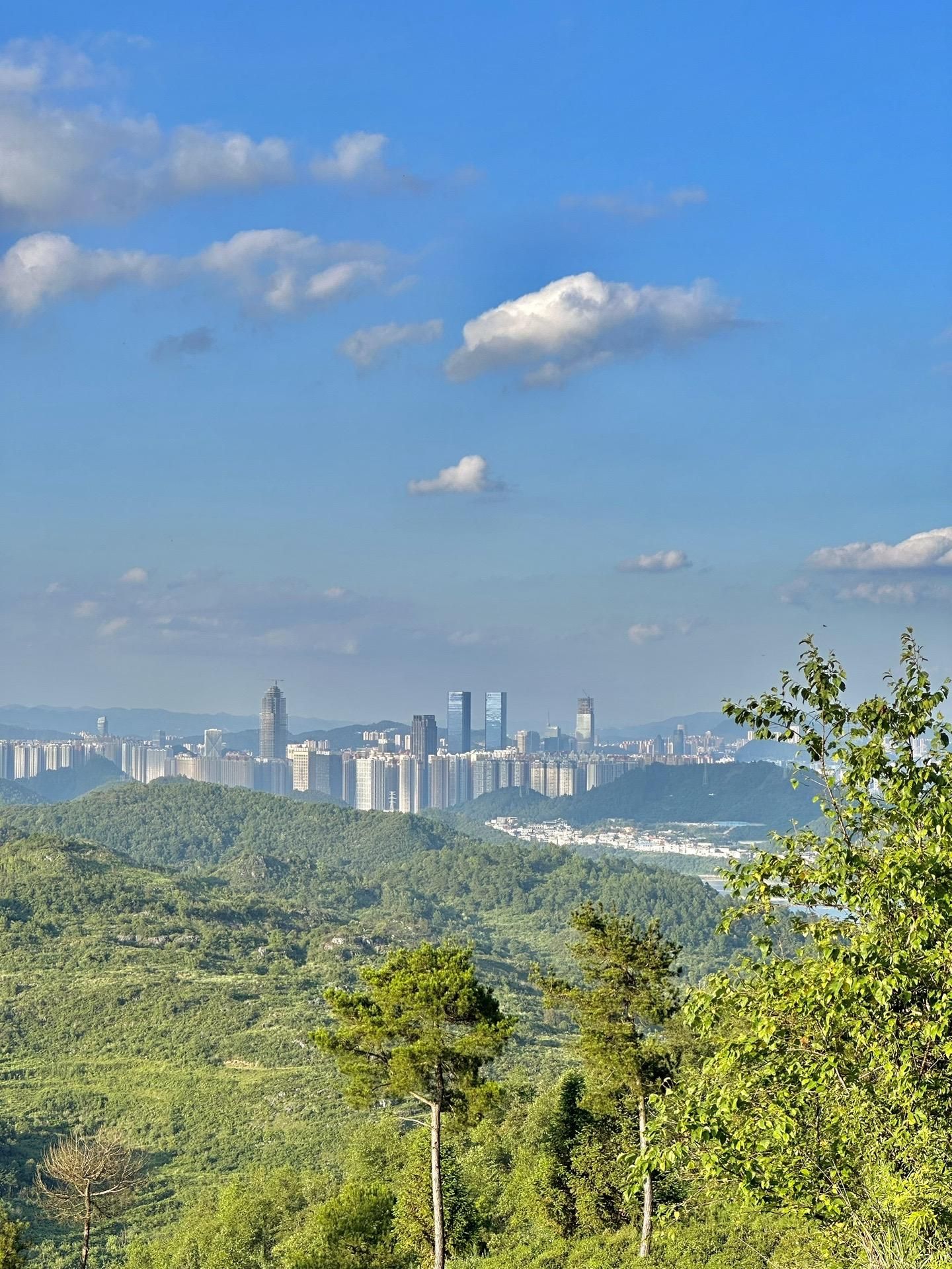 九龙亭(九龙茶峰)旅行图片 2
