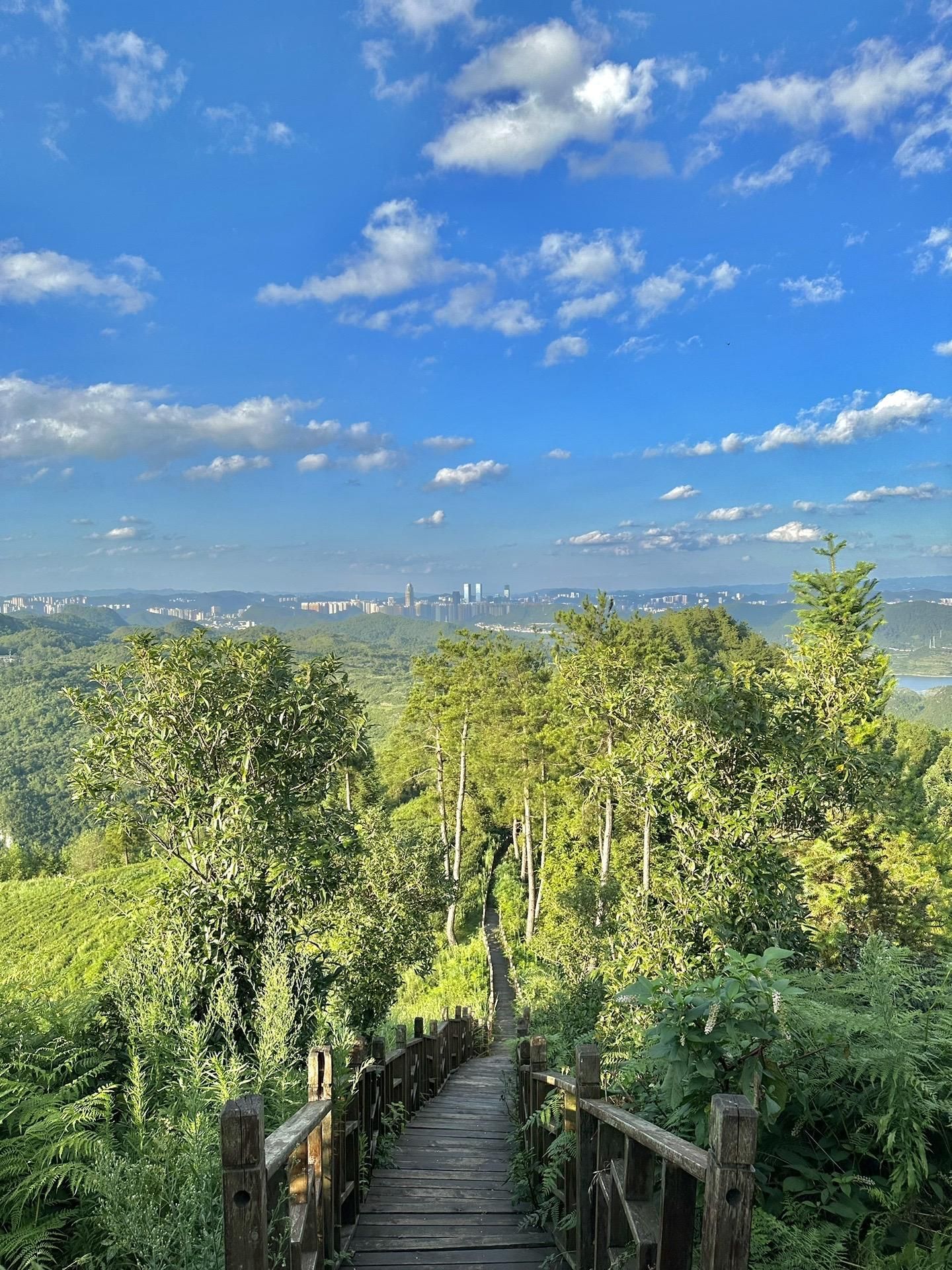 九龙亭(九龙茶峰)旅行图片 3