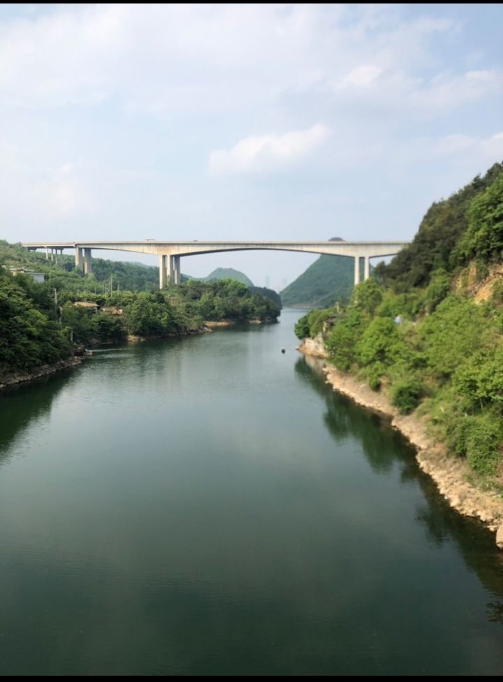 九龙亭(九龙茶峰)旅行图片 1