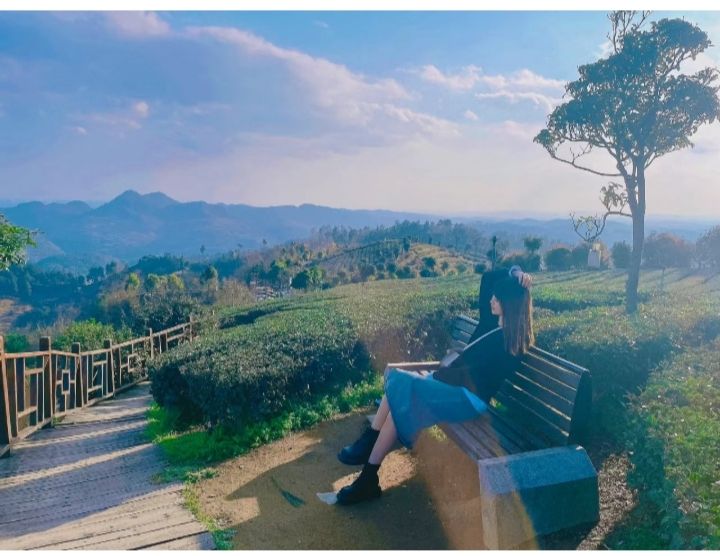 九龙亭(九龙茶峰)旅行图片 3