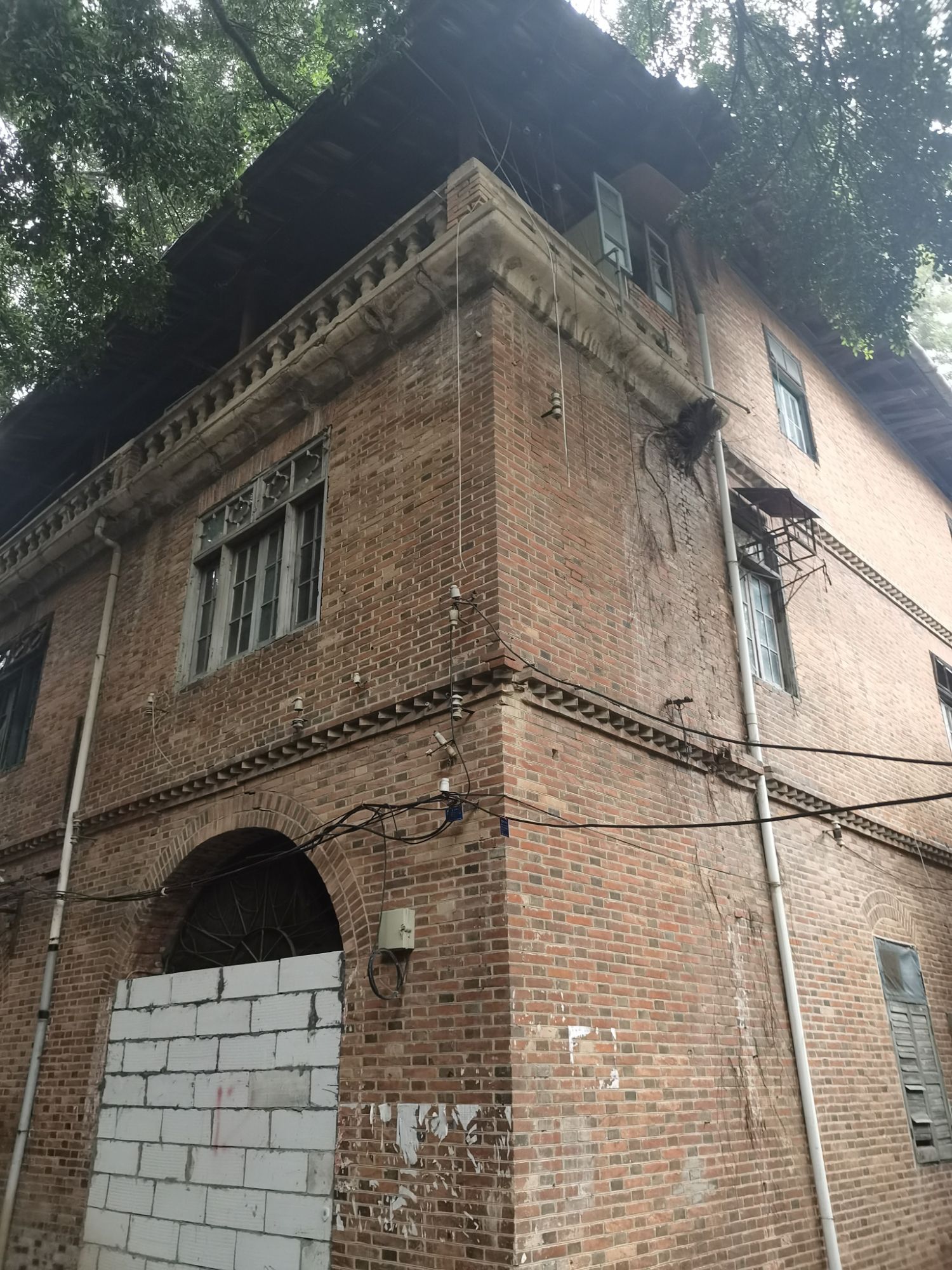 可园旅行图片 2