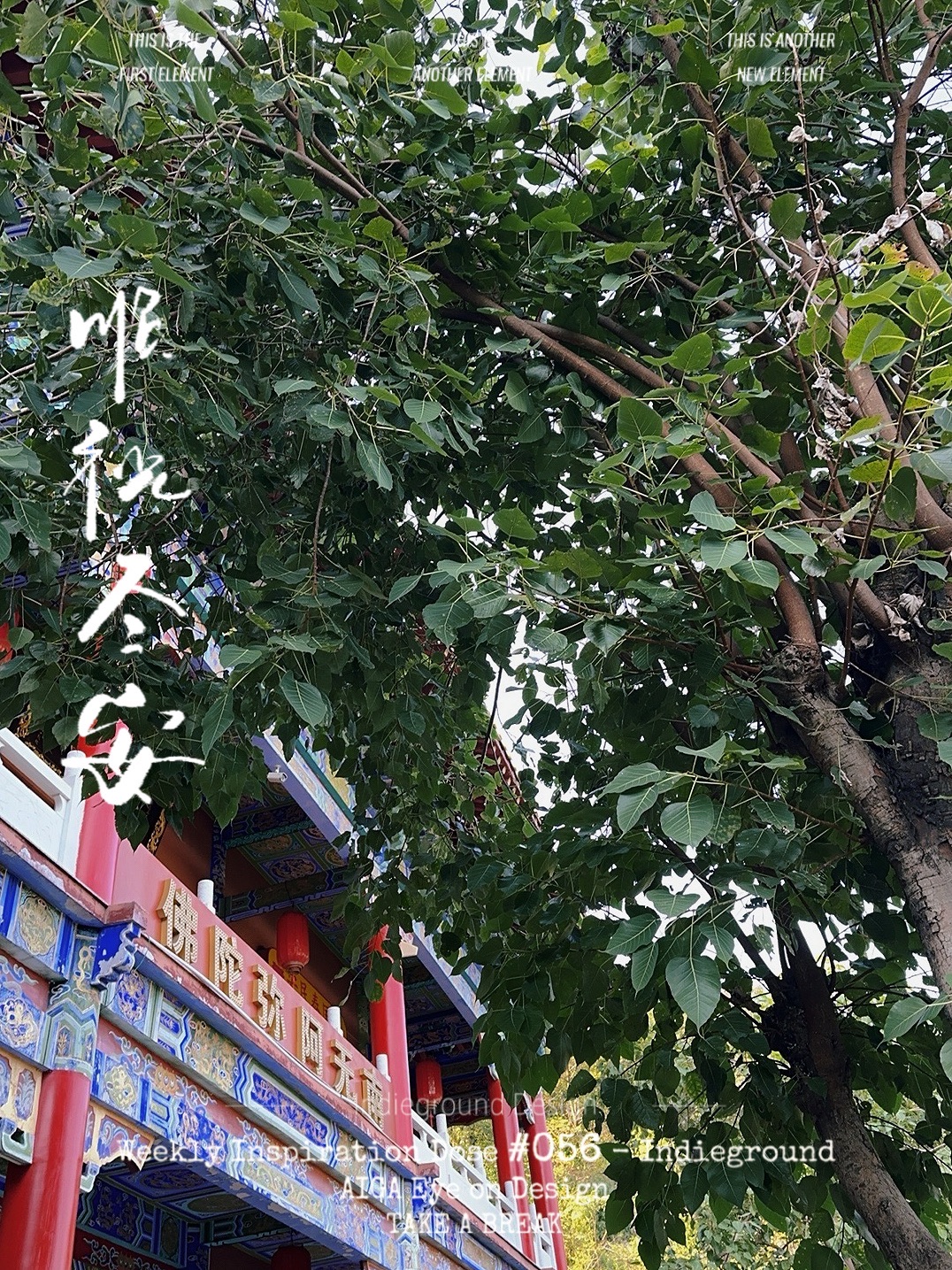 花手寺实景照片