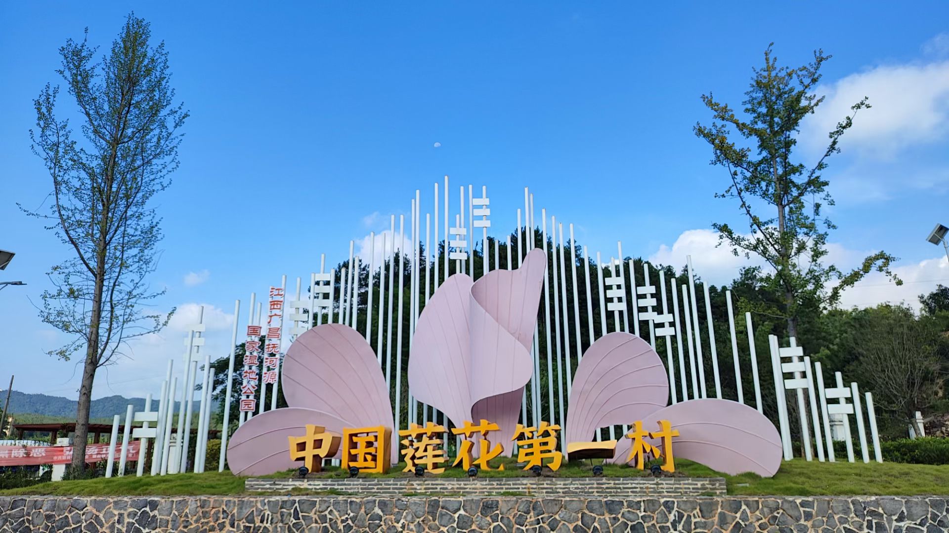 中国莲花第一村旅行图片 1