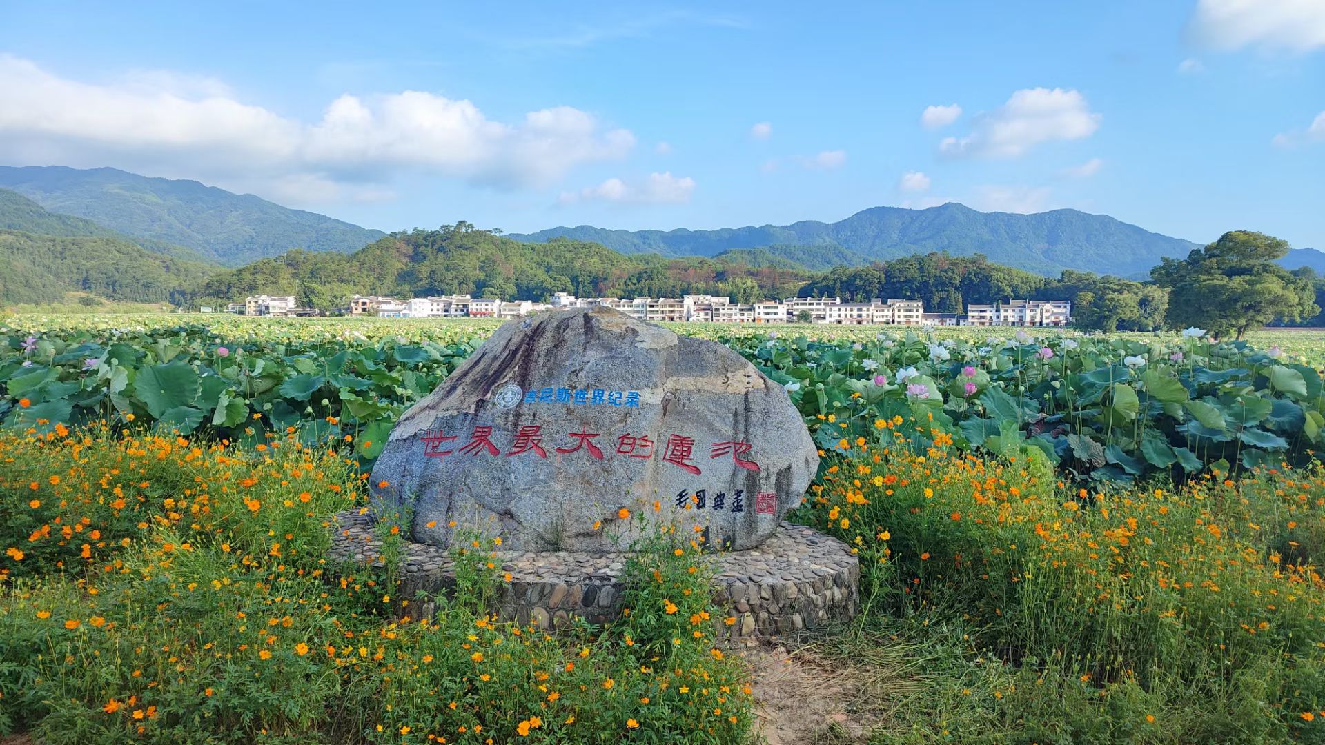 中国莲花第一村旅行图片 3