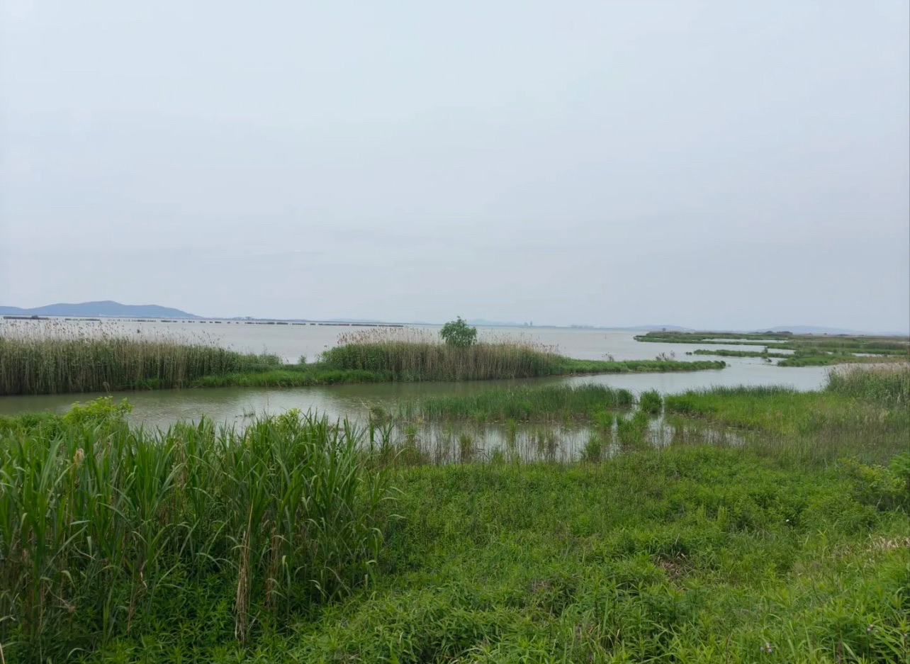 浦江源生态半岛旅行图片 3