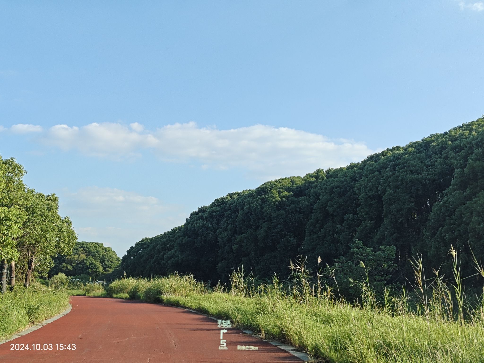 浦江源生态半岛旅行图片 1