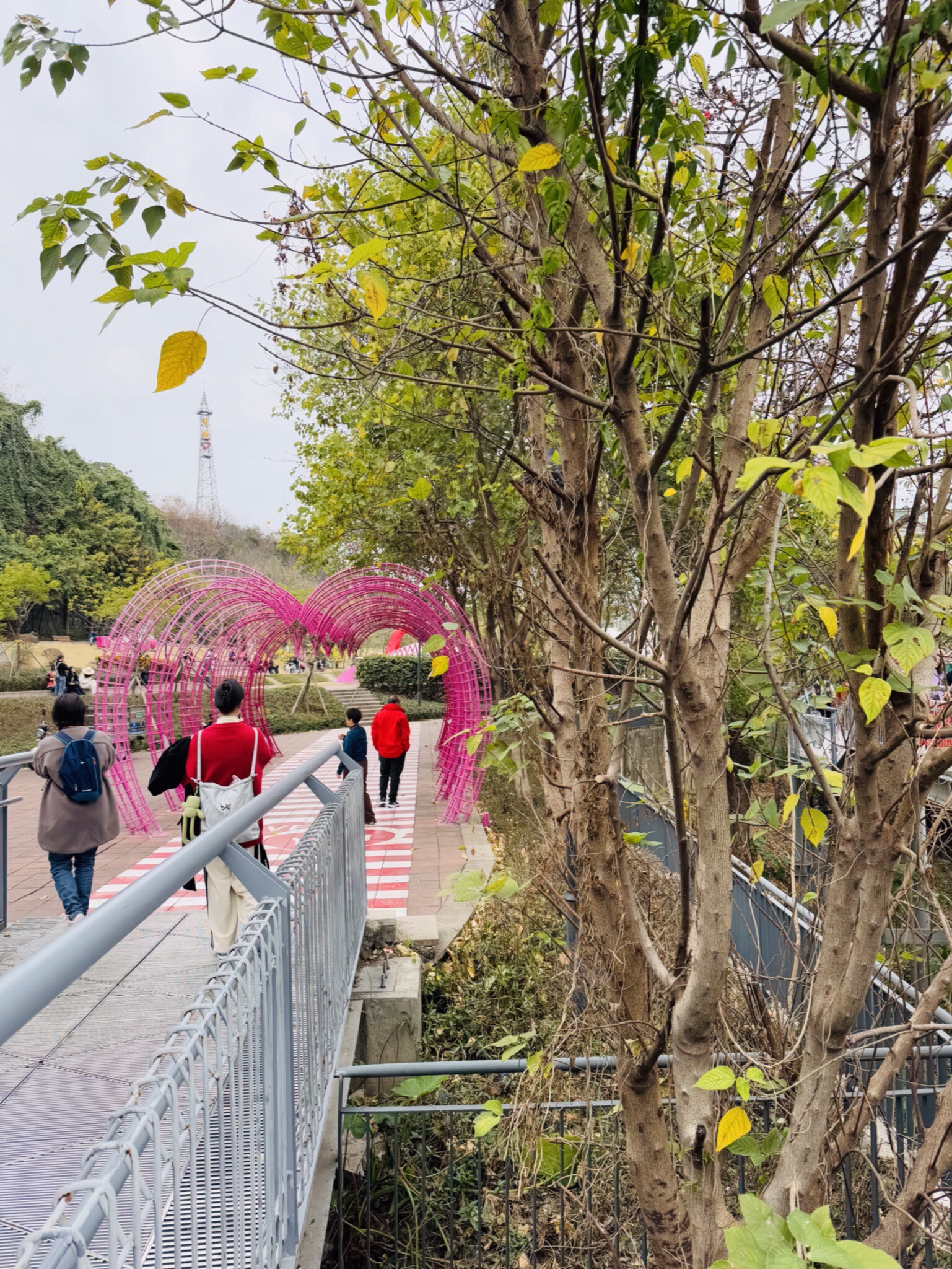 华盖山旅行图片 2
