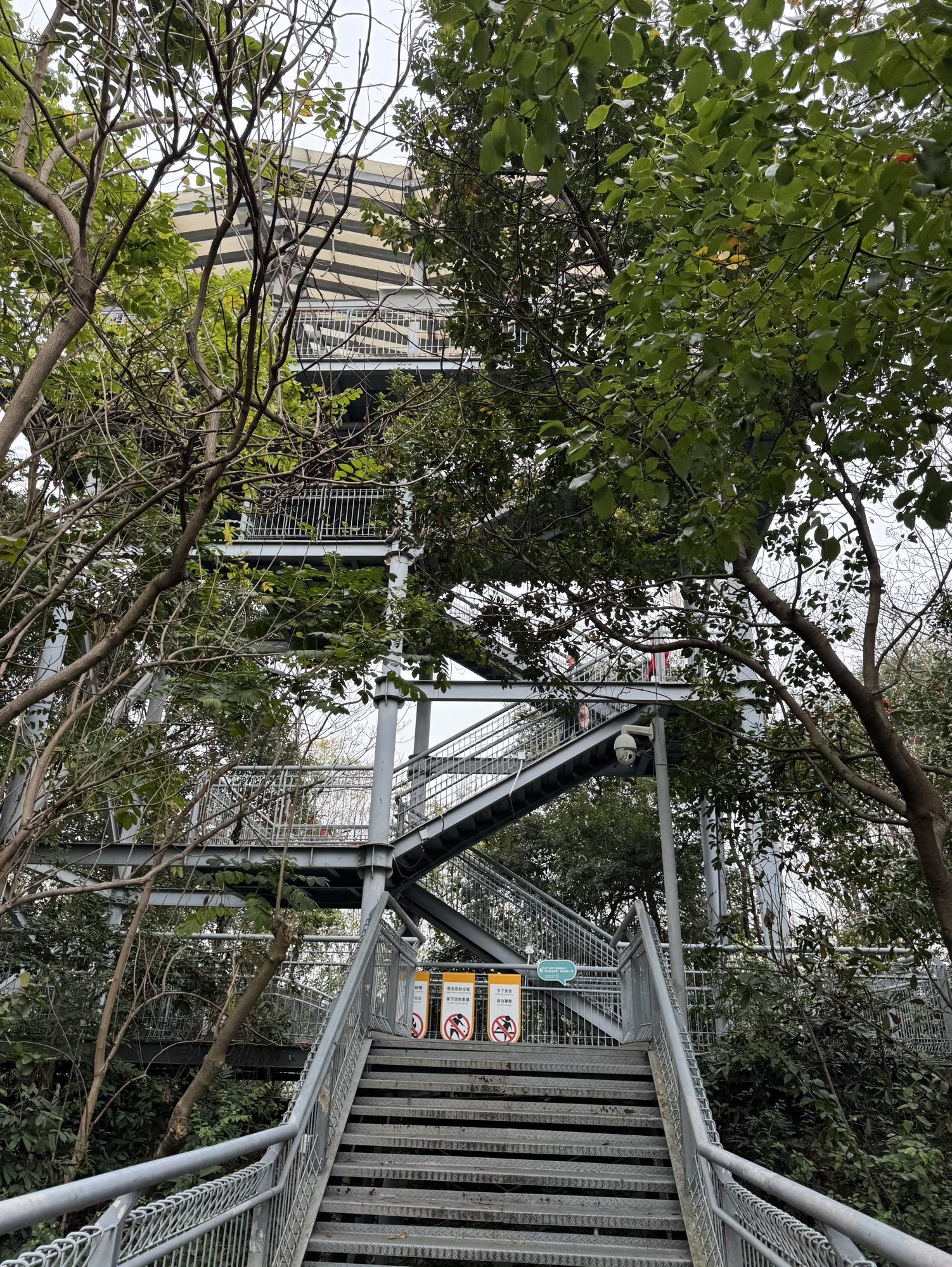 华盖山旅行图片 2