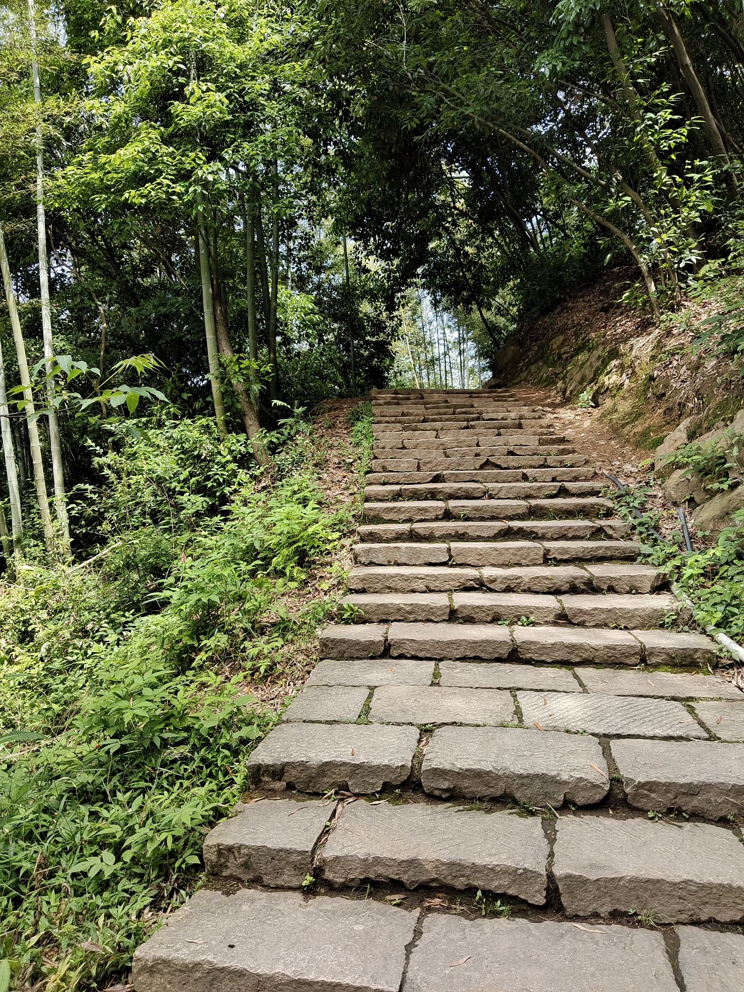 顾渚水库旅行图片 2