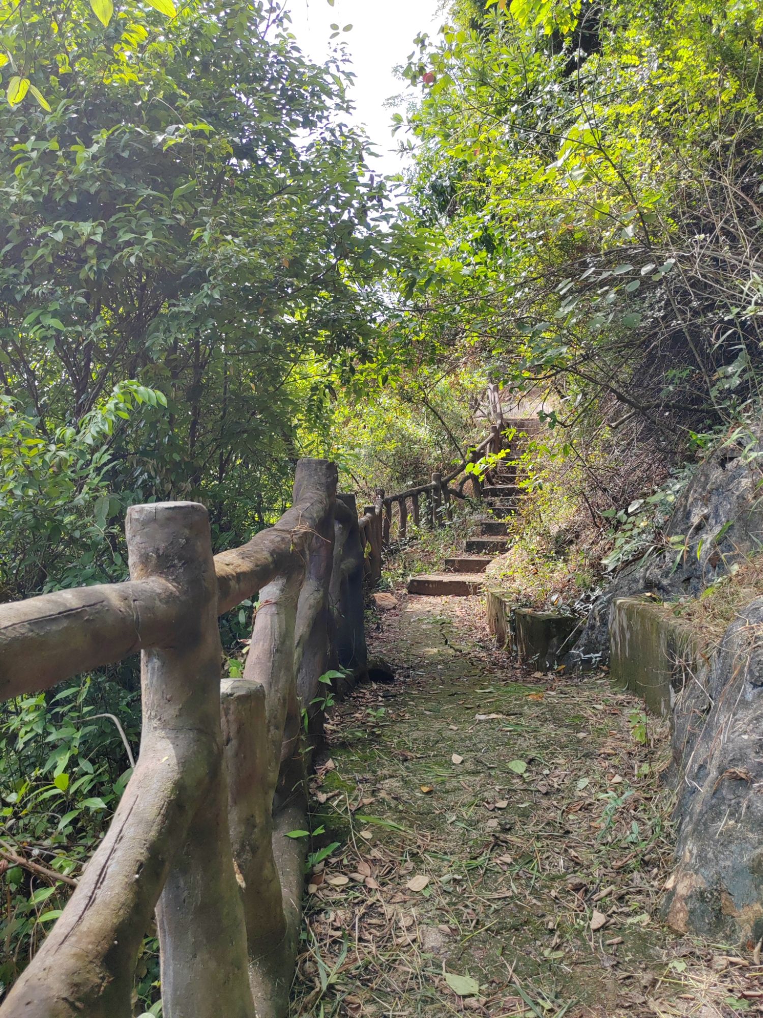 板谭壮营乡村旅游区旅行图片 3