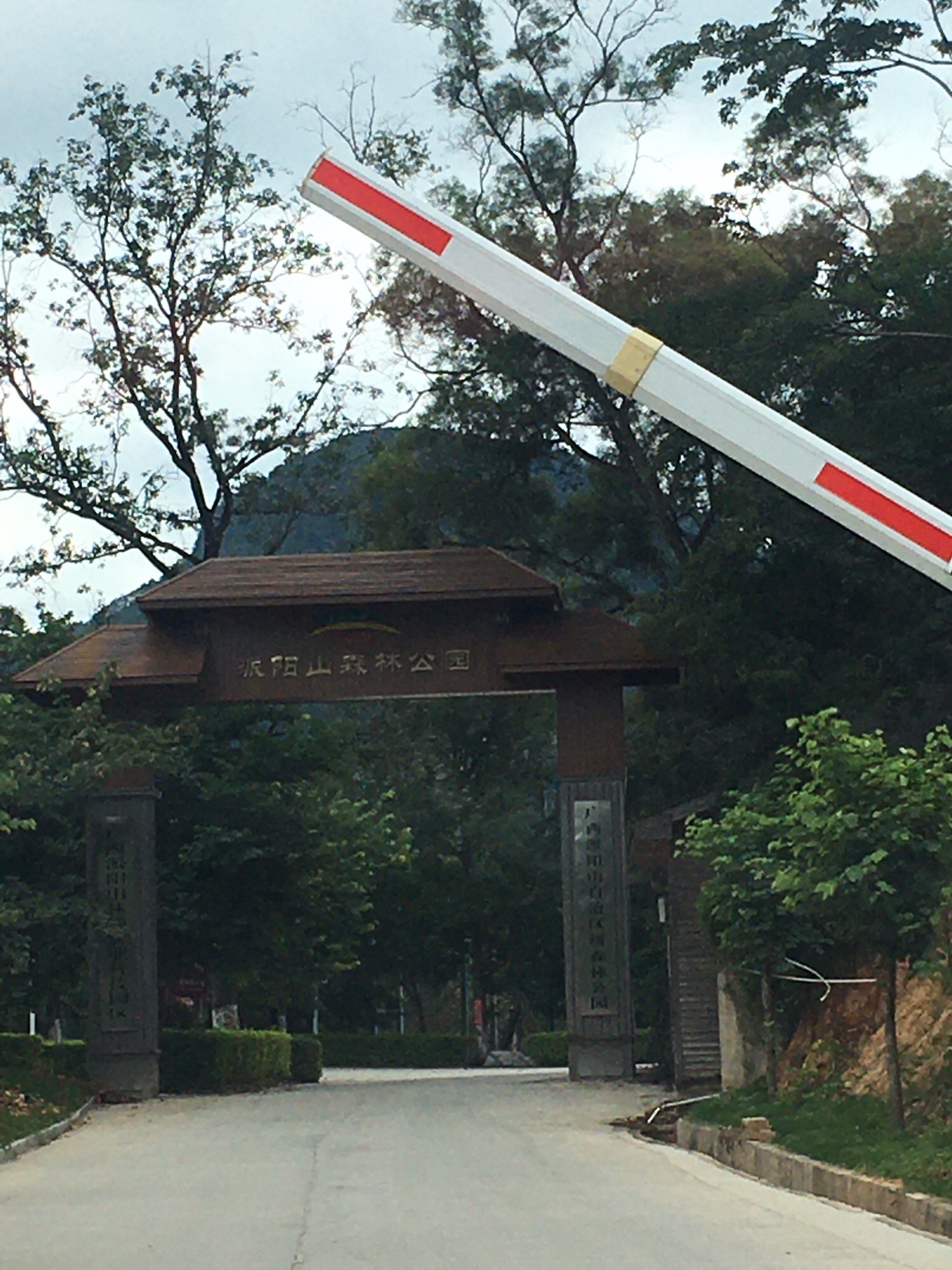 派阳山森林公园