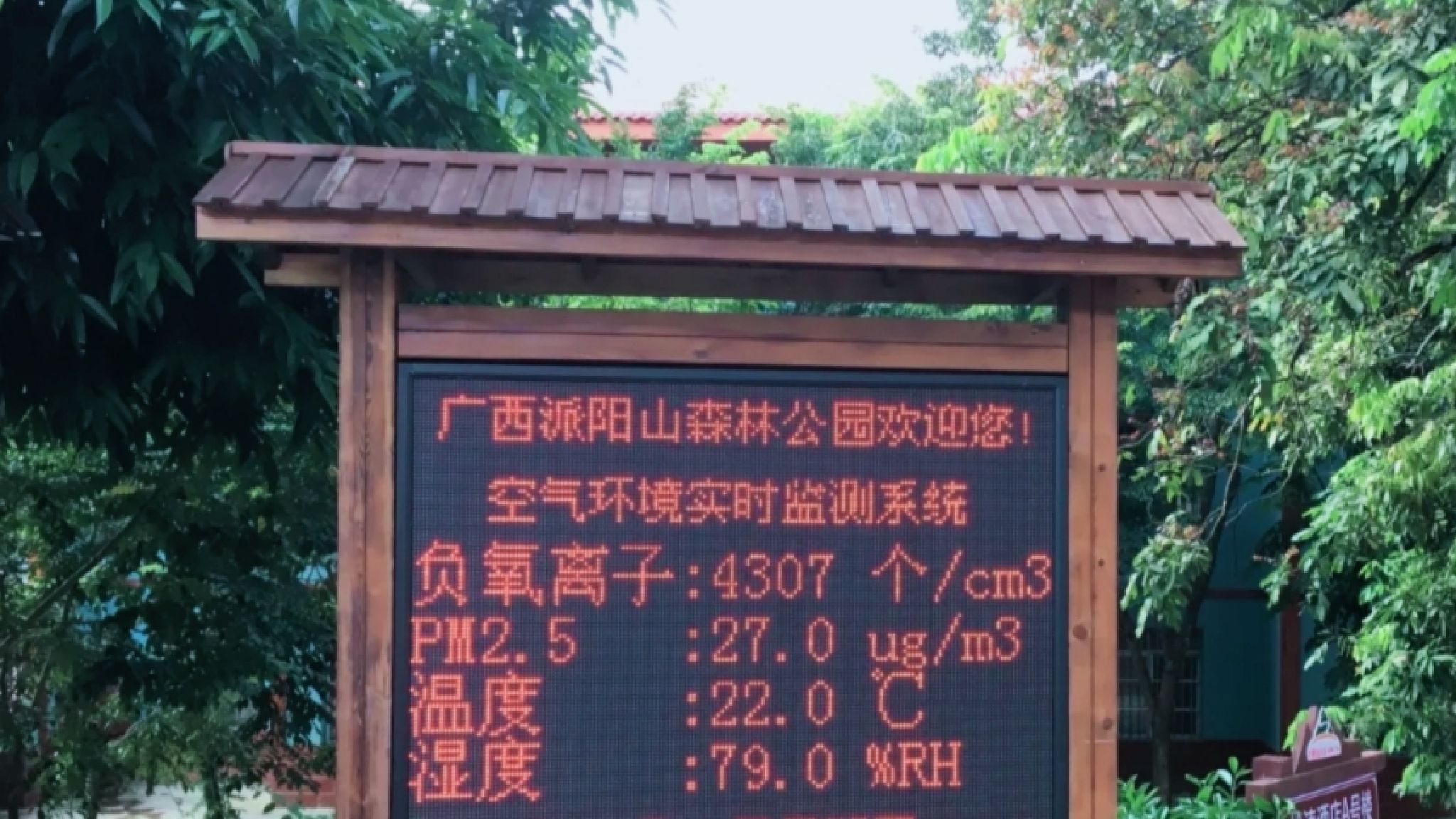派阳山森林公园旅行图片 1