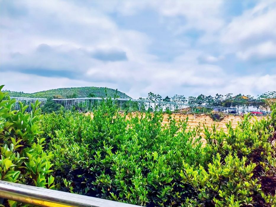 派阳山森林公园旅行图片 2