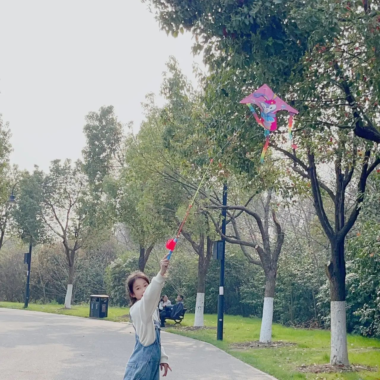 派阳山森林公园旅行图片 1