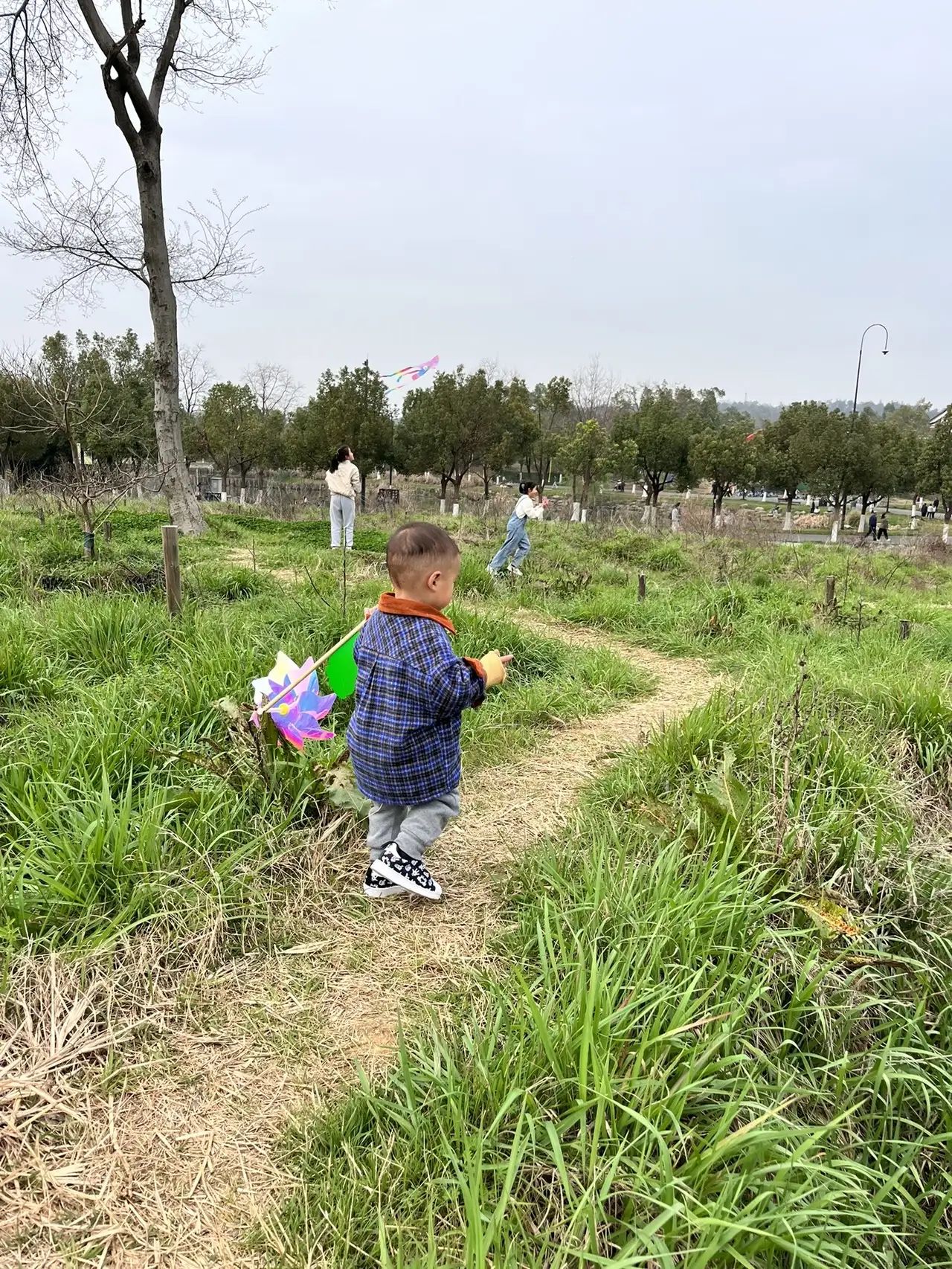 派阳山森林公园旅行图片 3