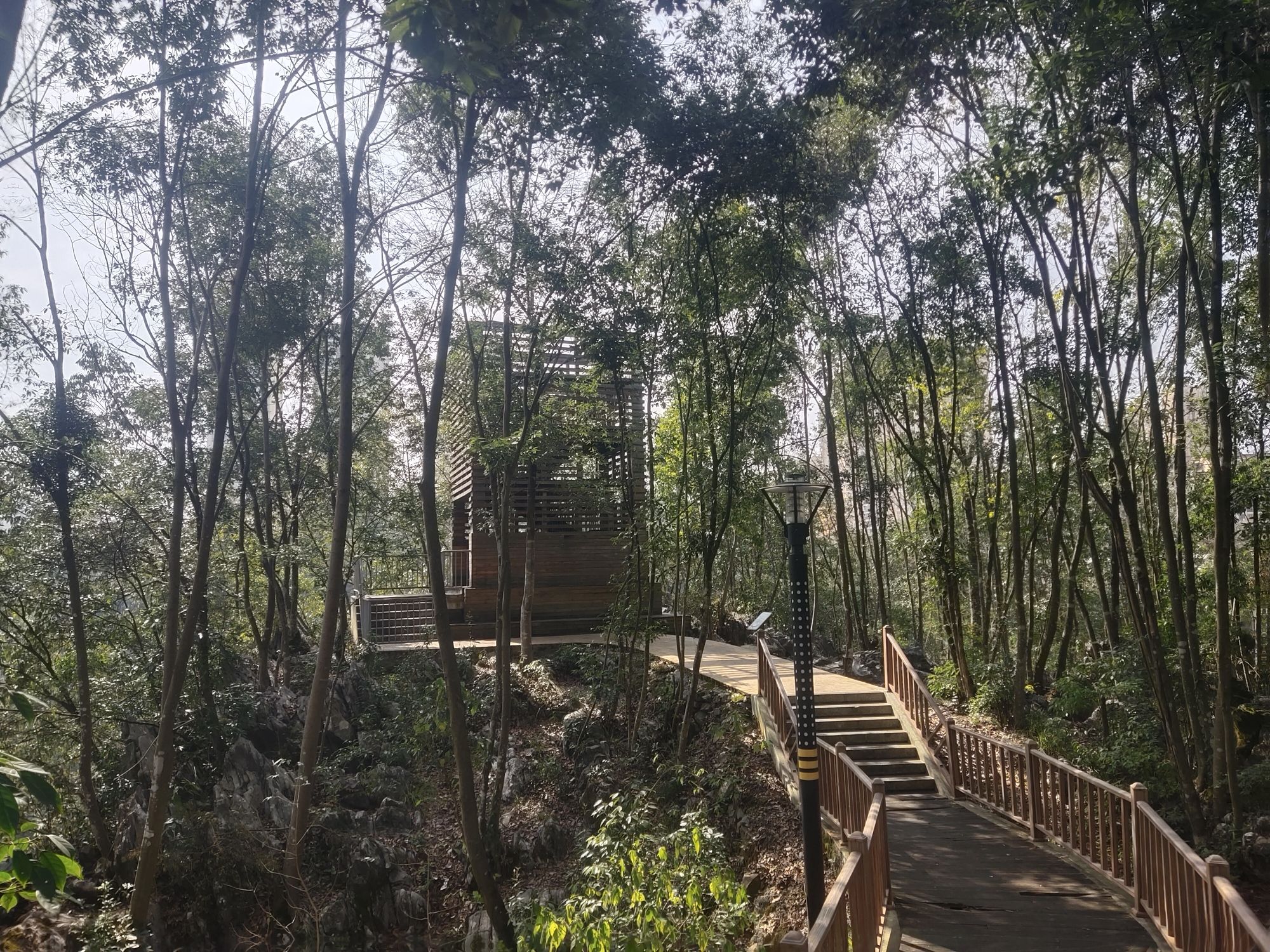 务川洪渡河国家湿地公园旅行图片 1