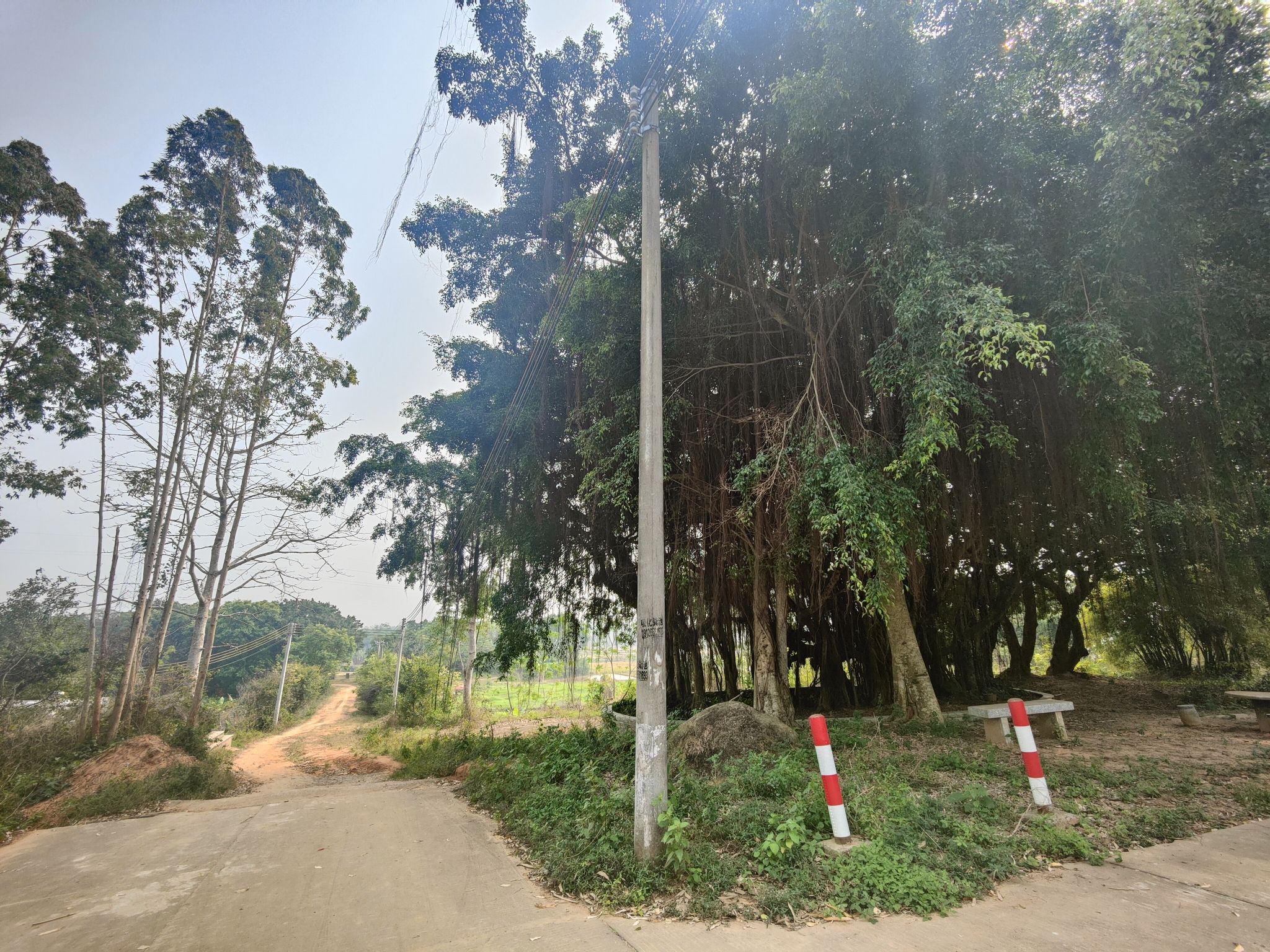 鲤鱼墩贝丘遗址旅行图片 1