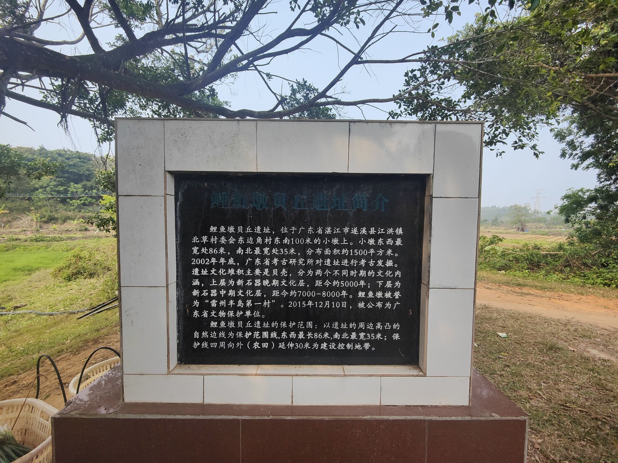 鲤鱼墩贝丘遗址旅行图片 3