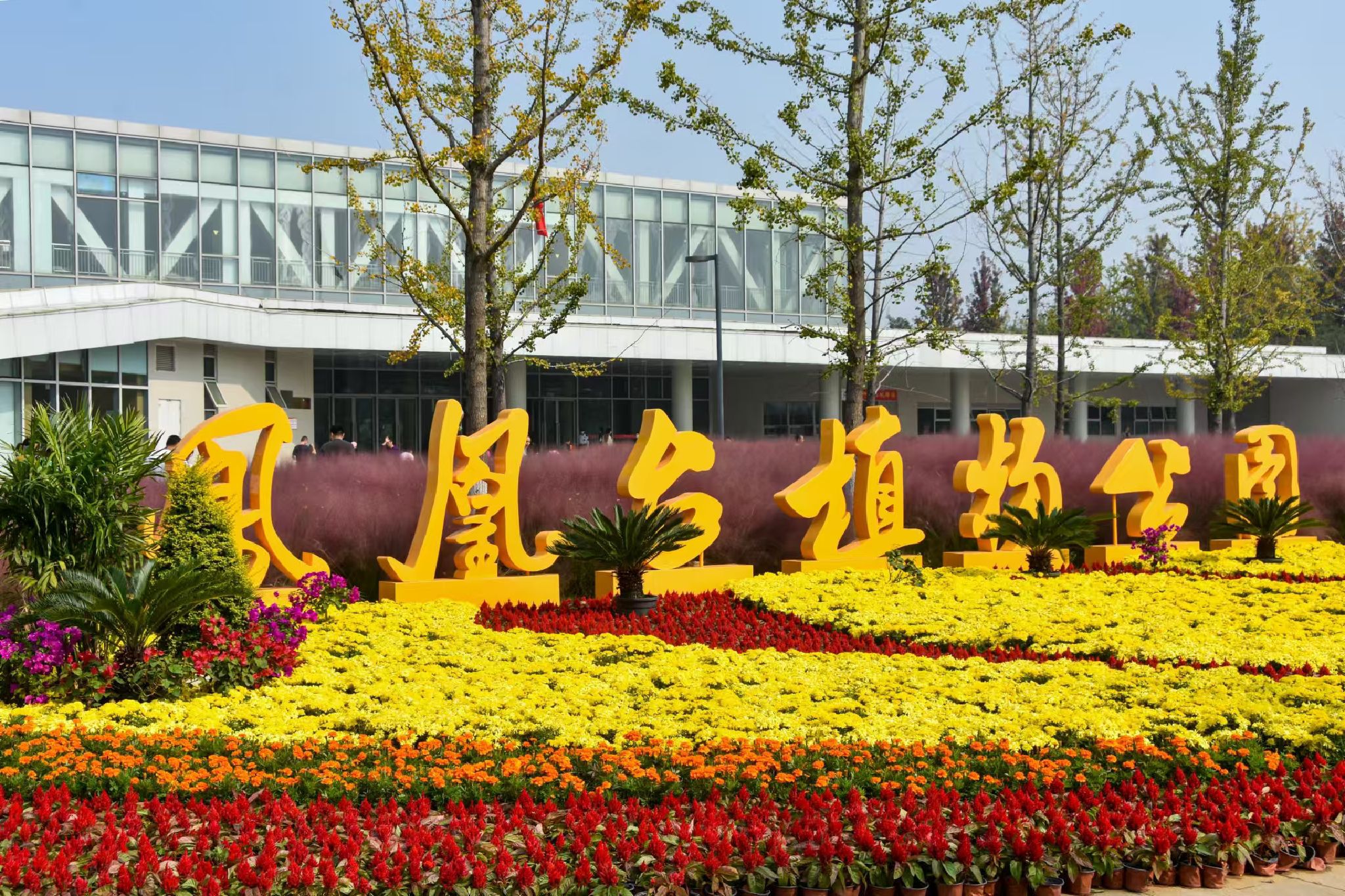 凤凰台植物公园