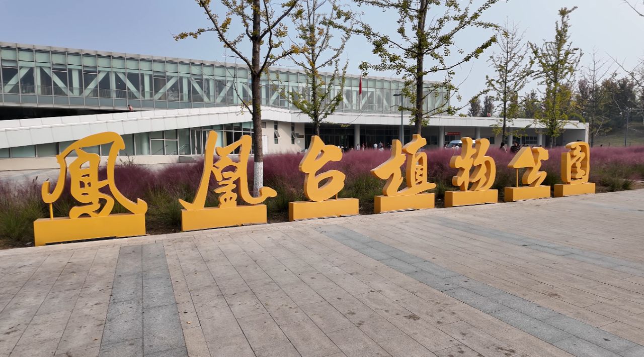 凤凰台植物公园旅行图片 1