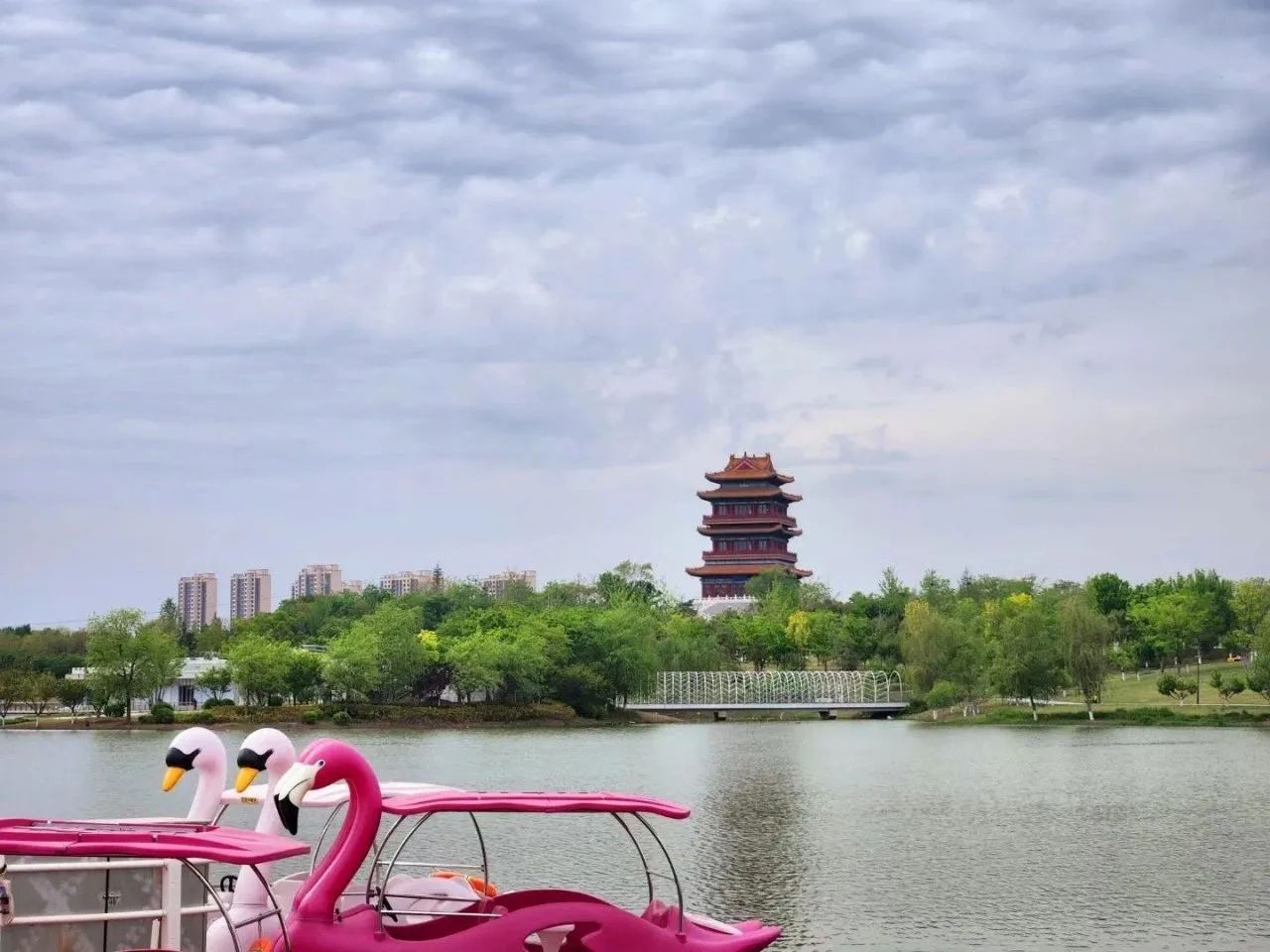 凤凰台植物公园旅行图片 3