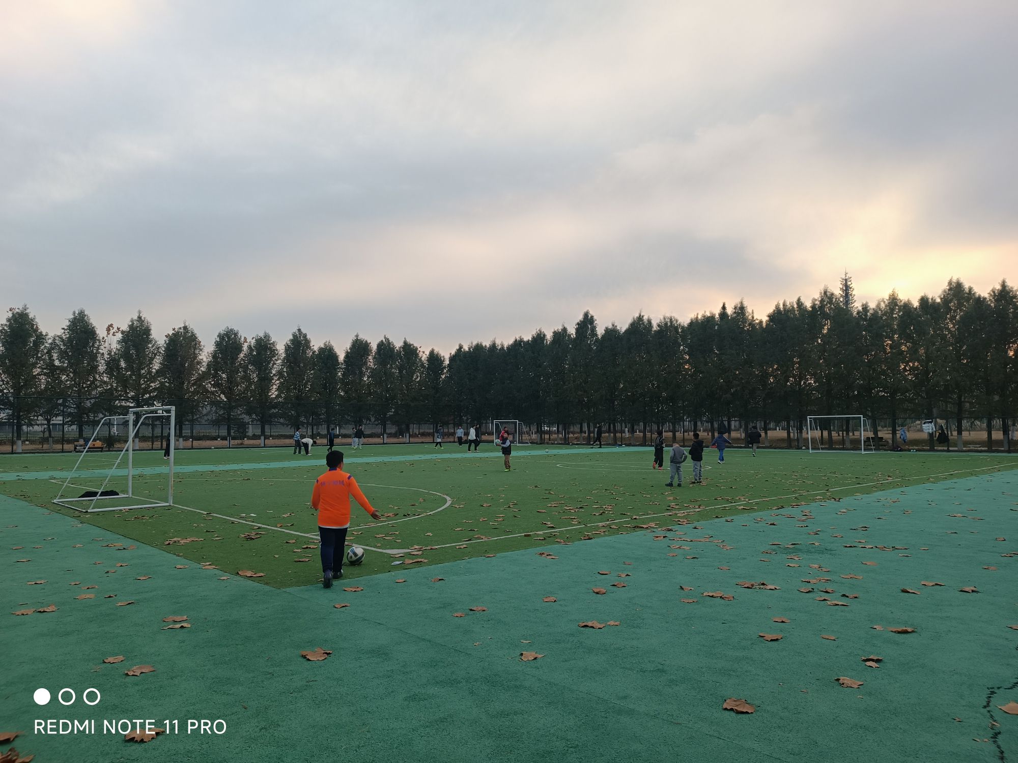 凤凰台植物公园旅行图片 3