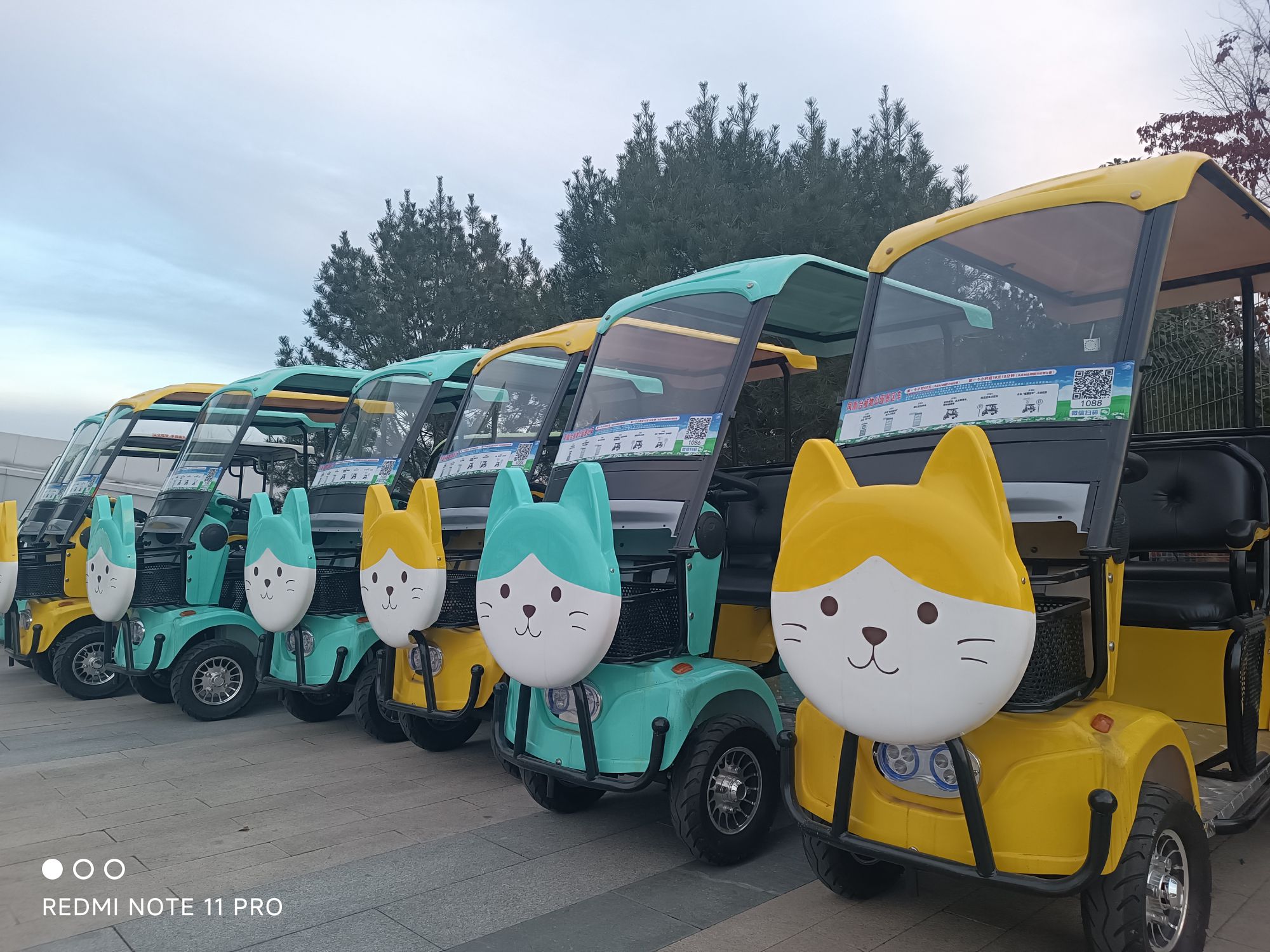 凤凰台植物公园旅行图片 1