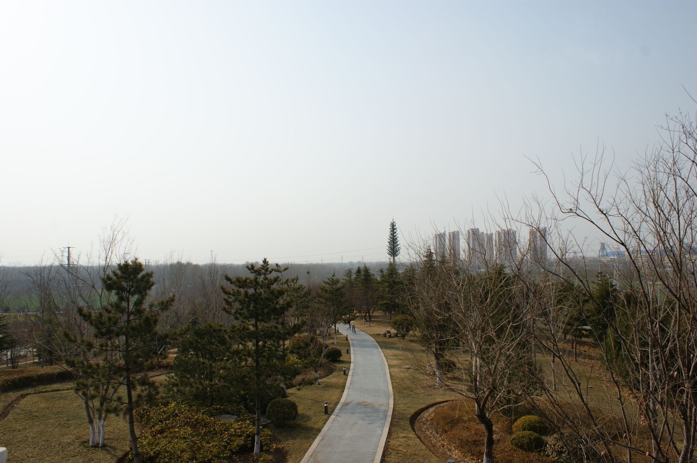 凤凰台植物公园旅行图片 3