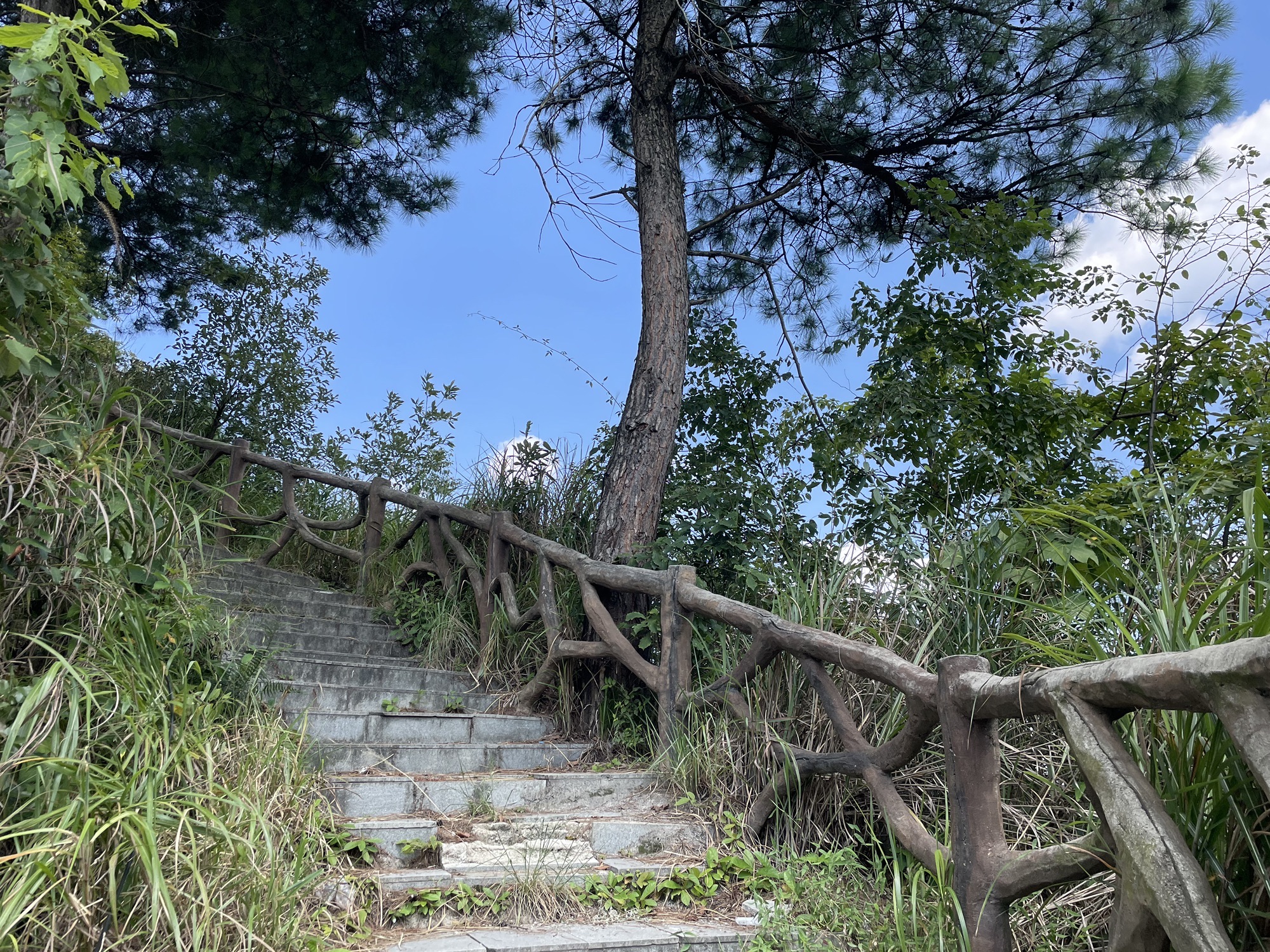 狮子岩山体公园旅行图片 3
