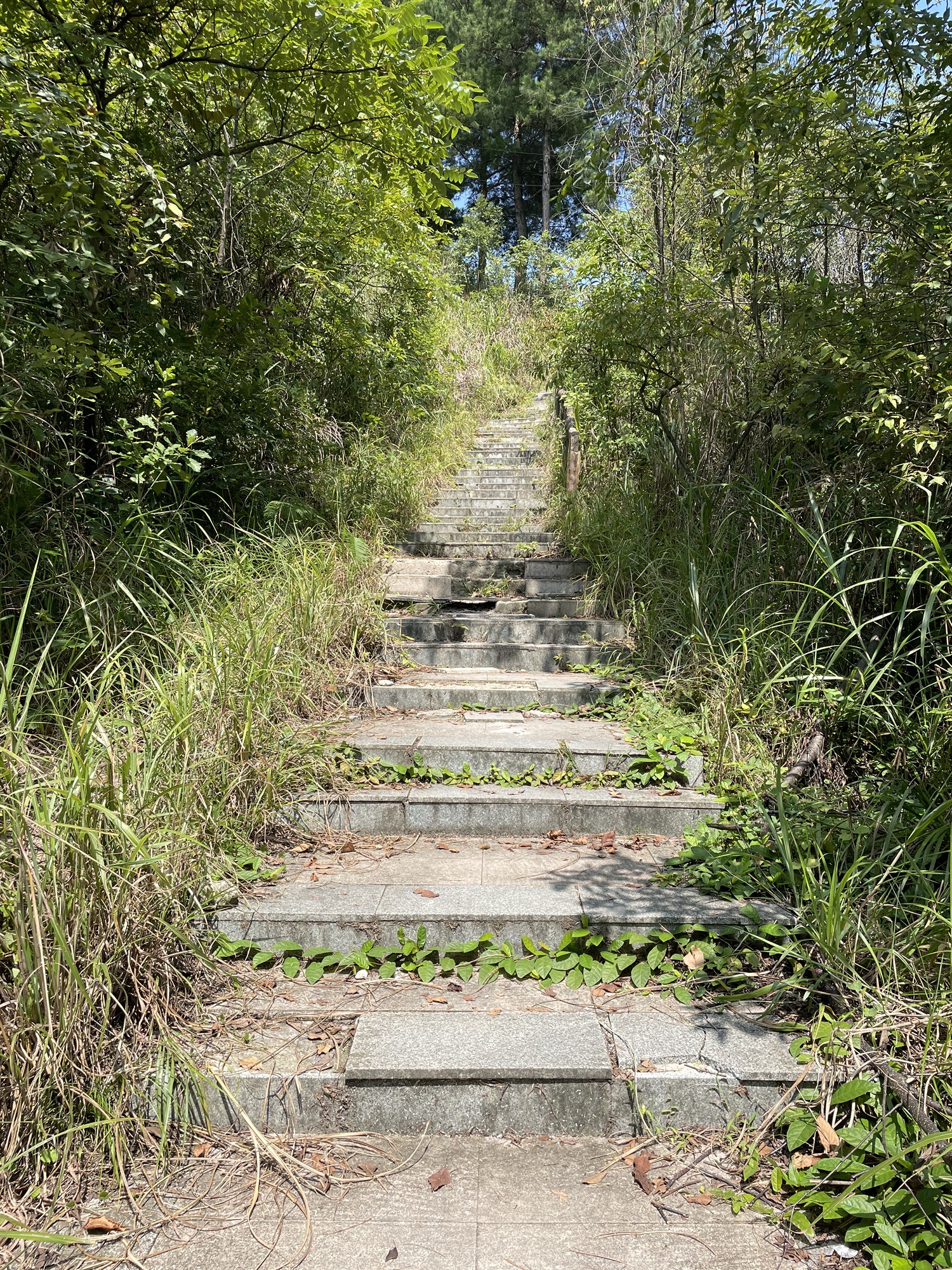 狮子岩山体公园旅行图片 1