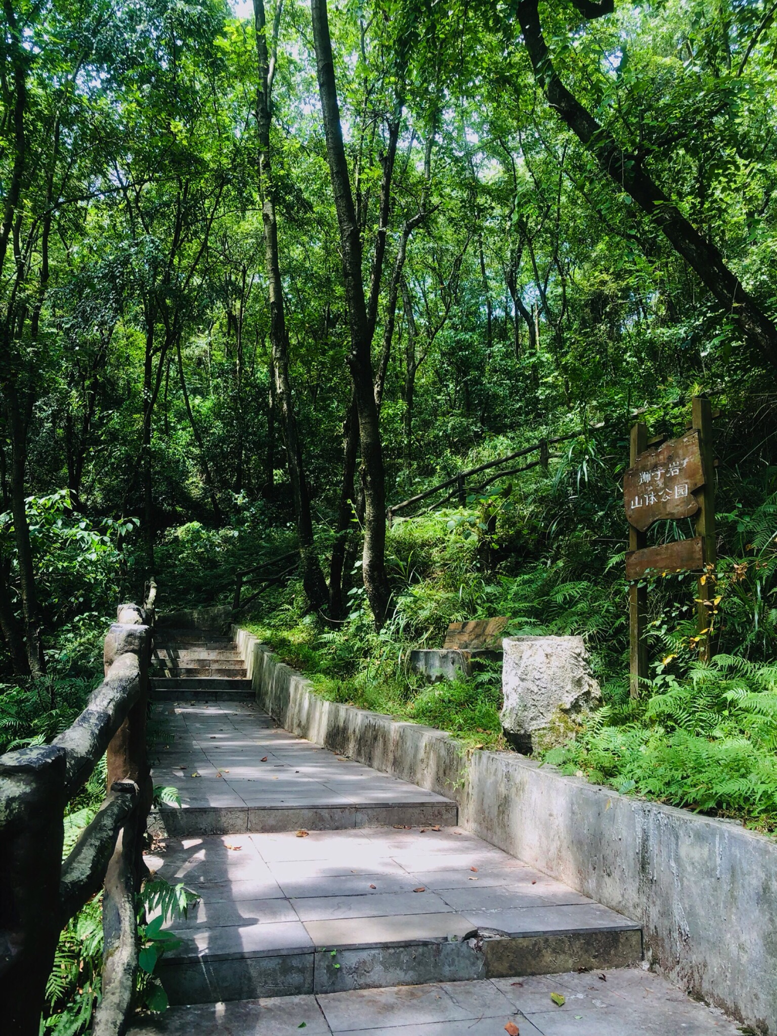狮子岩山体公园旅行图片 2