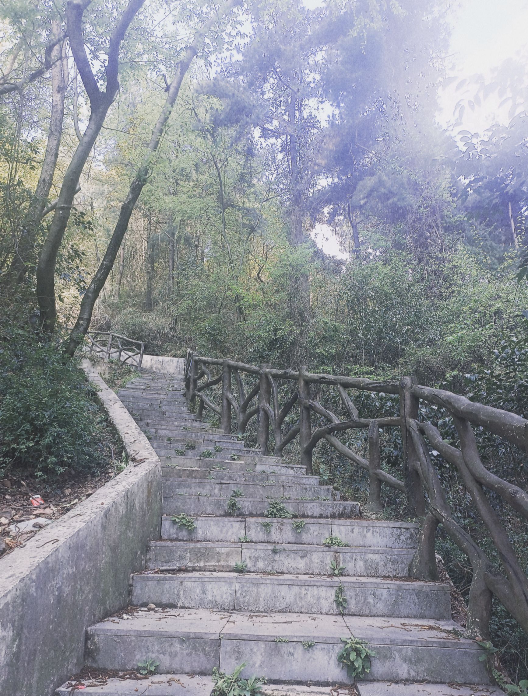狮子岩山体公园旅行图片 1