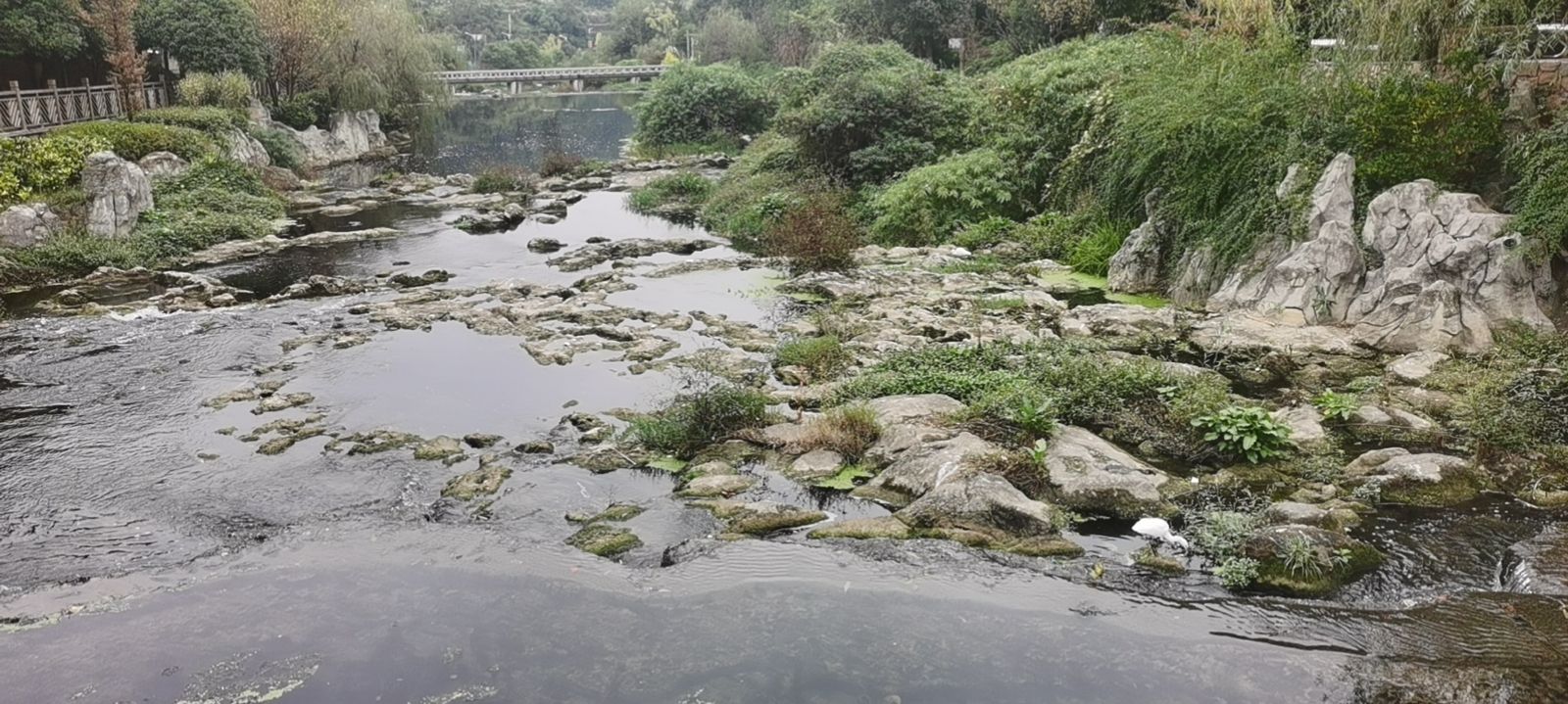 松溪河湿地公园旅行图片 2