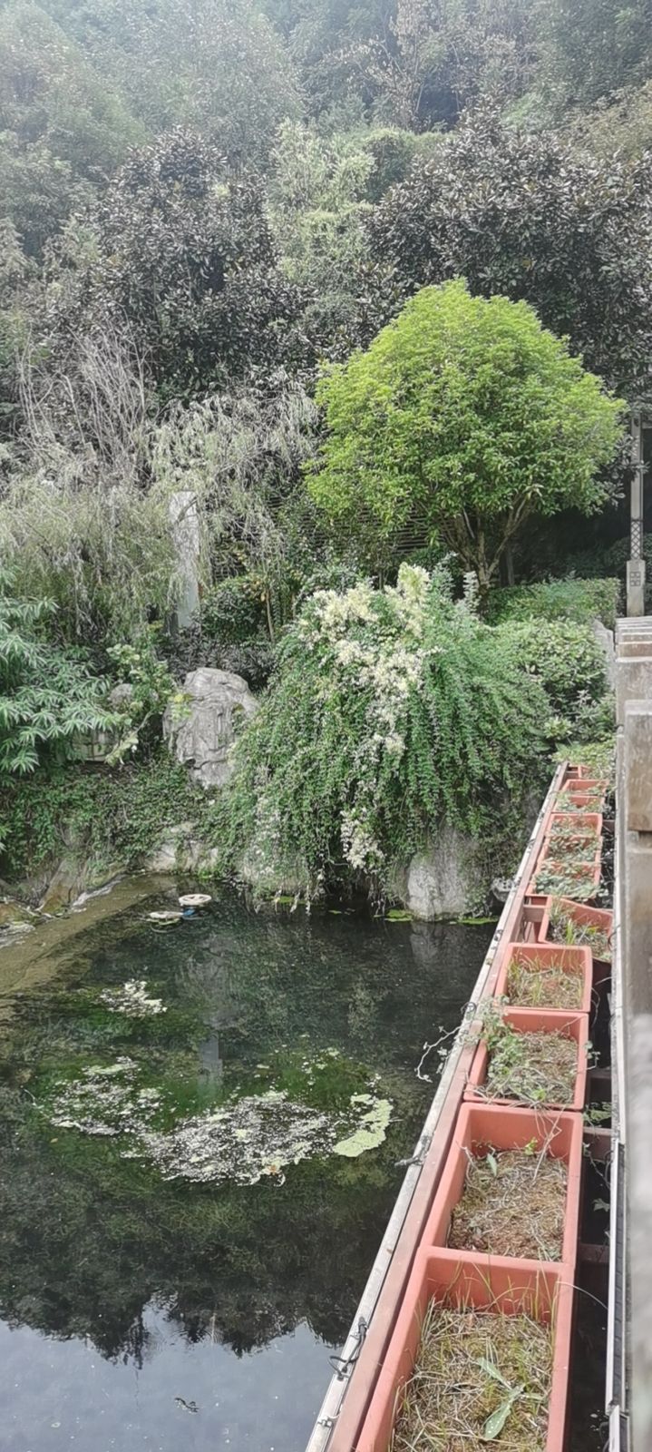 松溪河湿地公园旅行图片 3