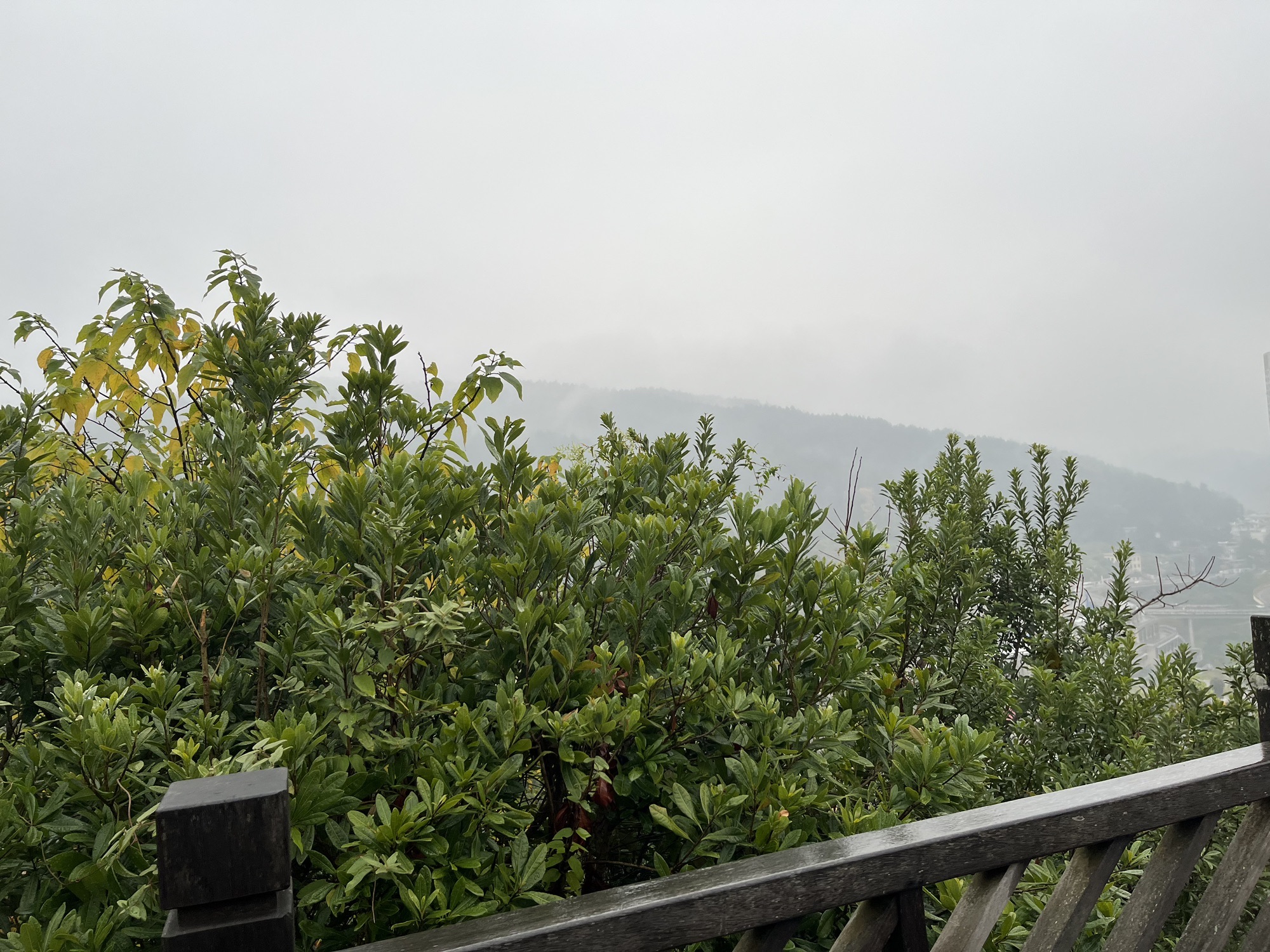 松溪河湿地公园旅行图片 3