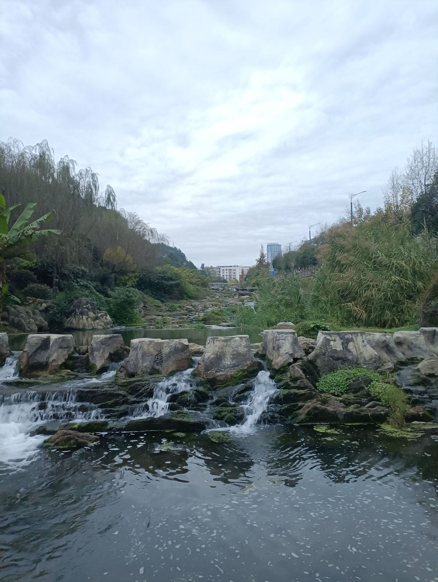 松溪河湿地公园旅行图片 2