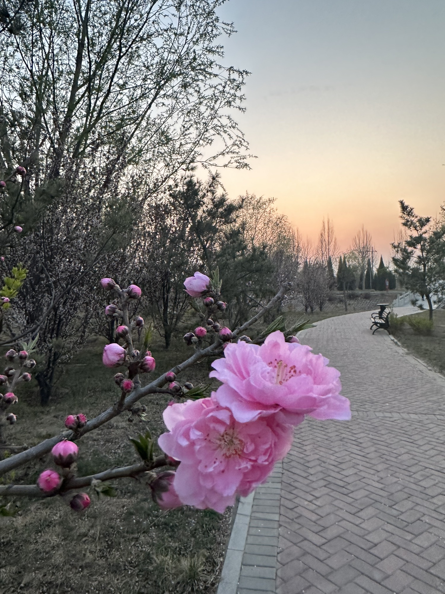 观津公园旅行图片 2